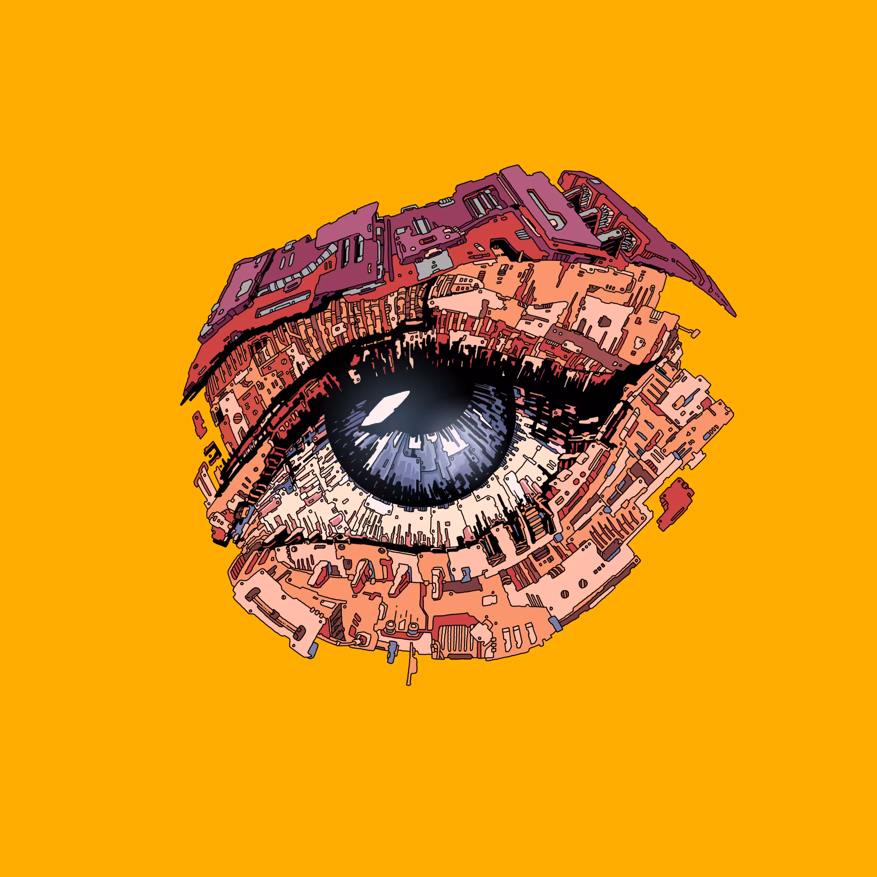 Sight
