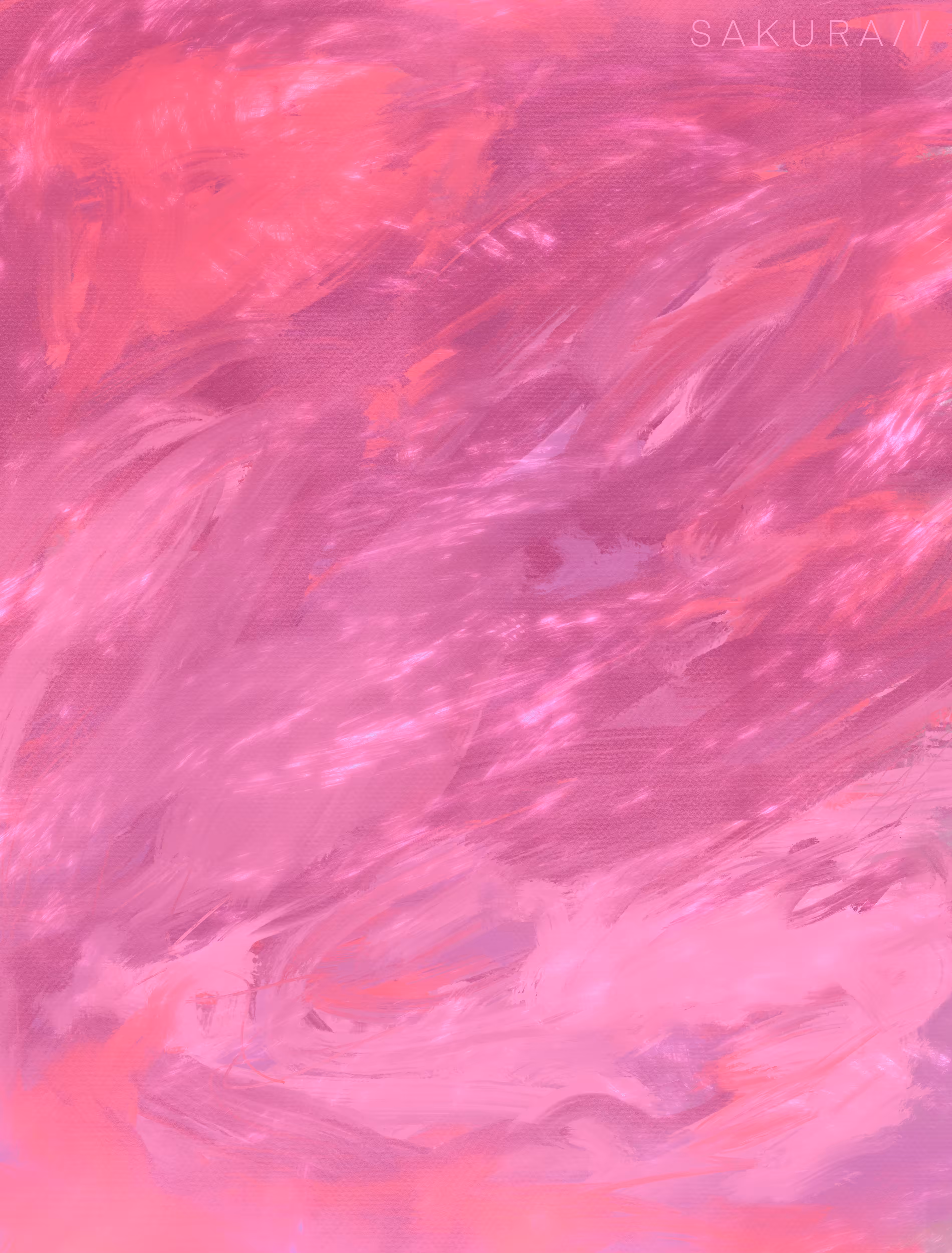 S A K U R A / /