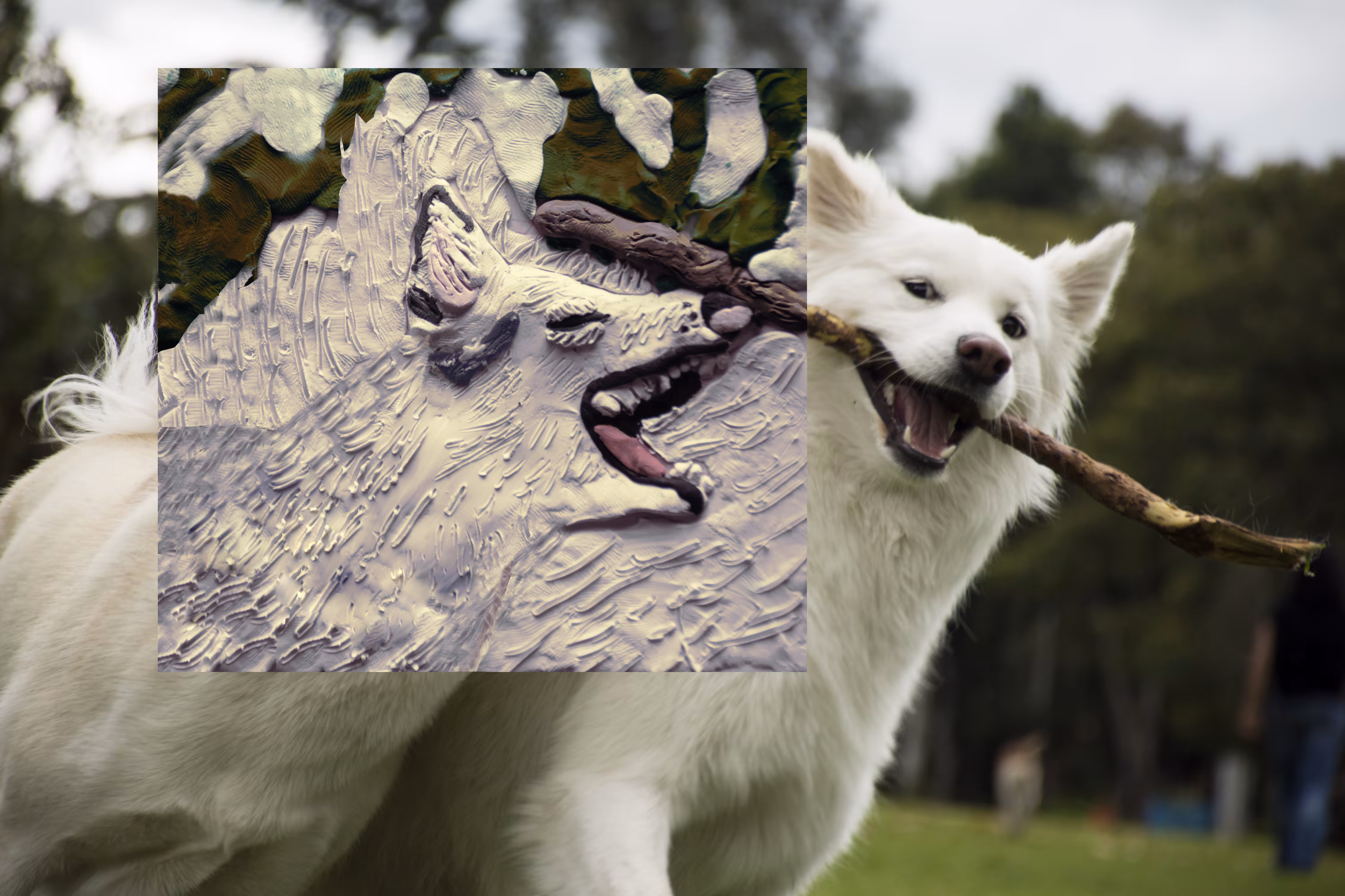 dog play