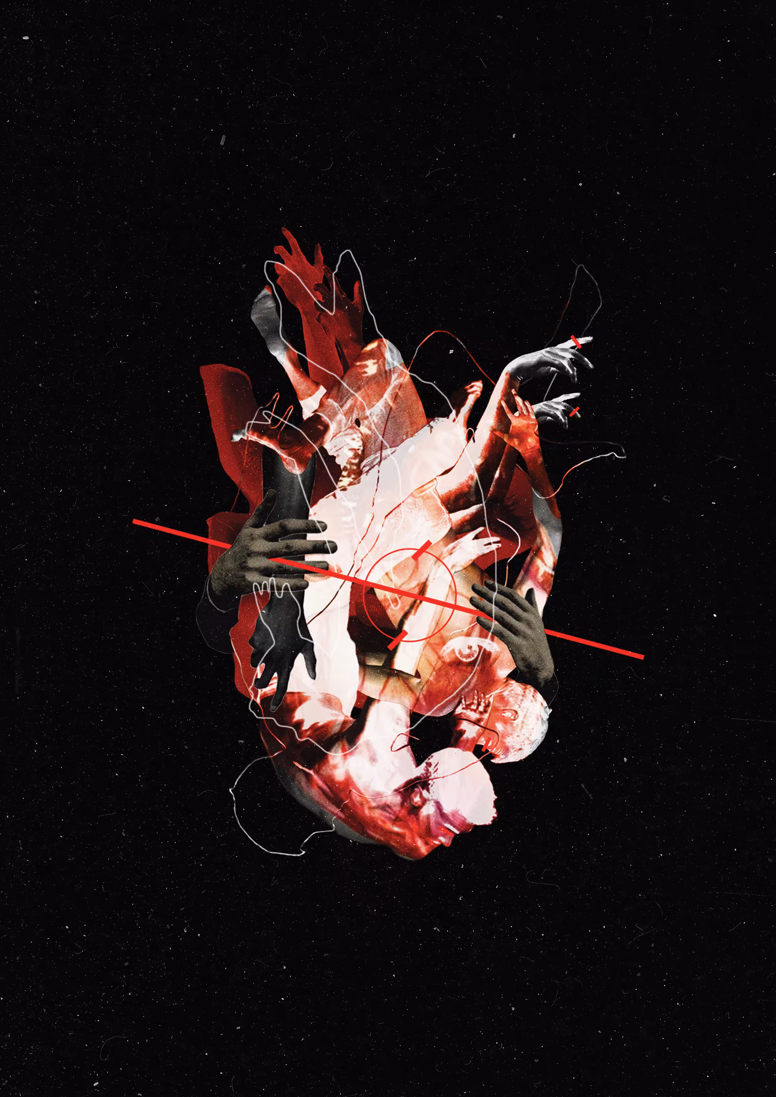 Autonomic Nerve