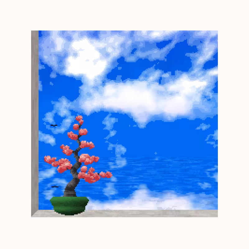 View #16
