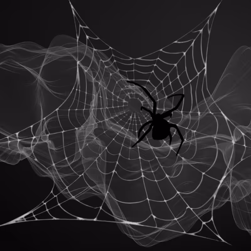 Black Spider #5