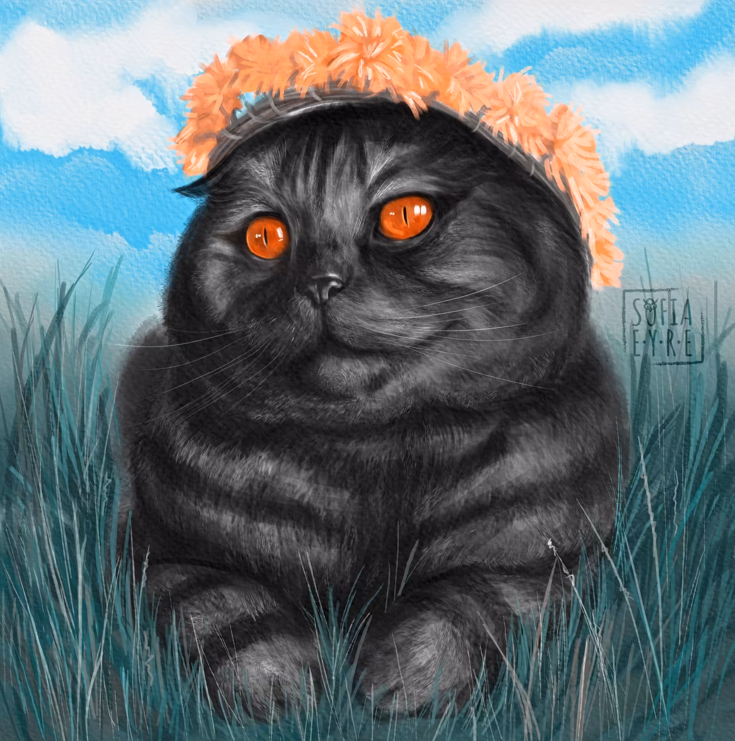 HENOSY Cat