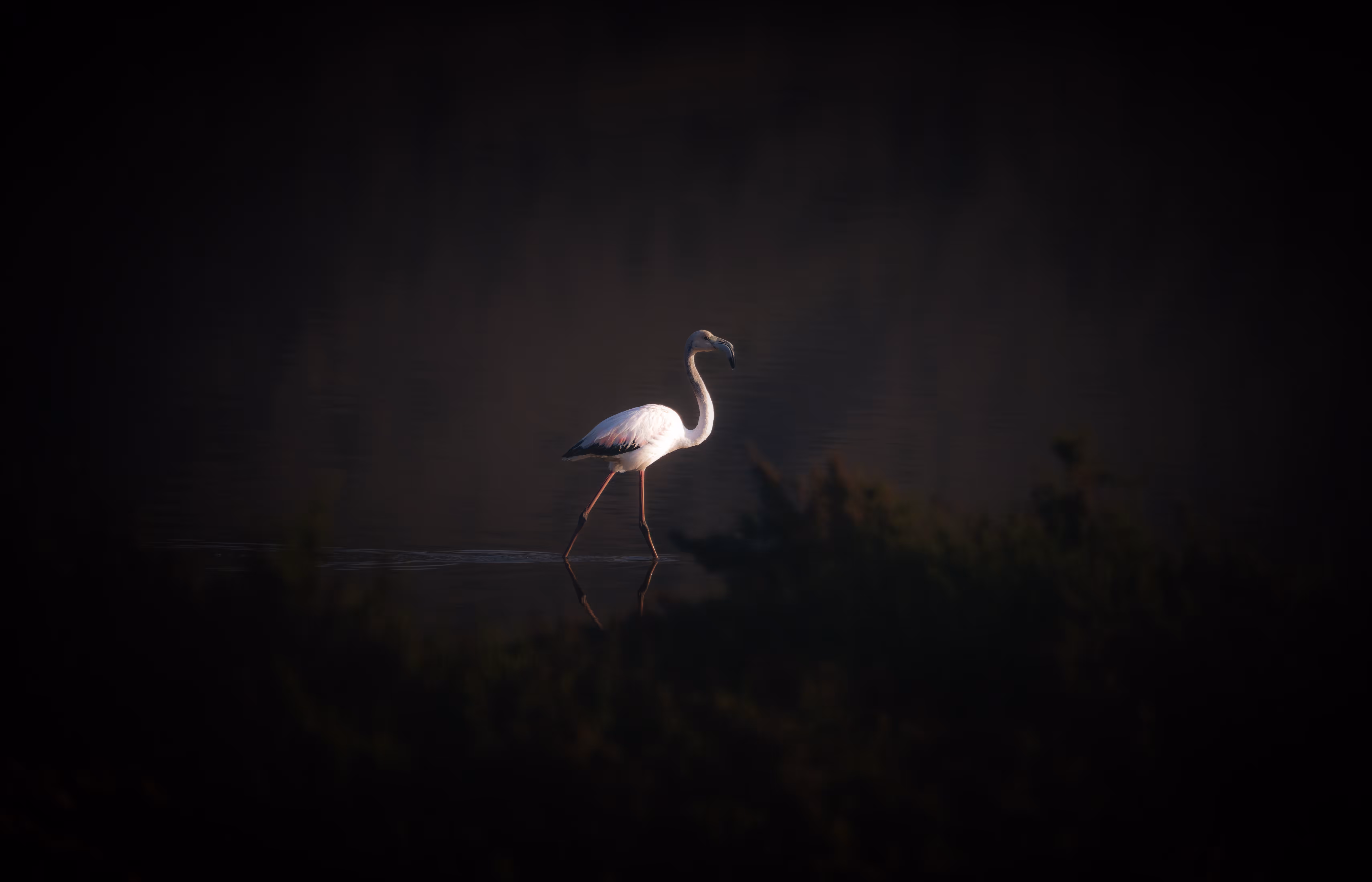 The Silent Sentinel