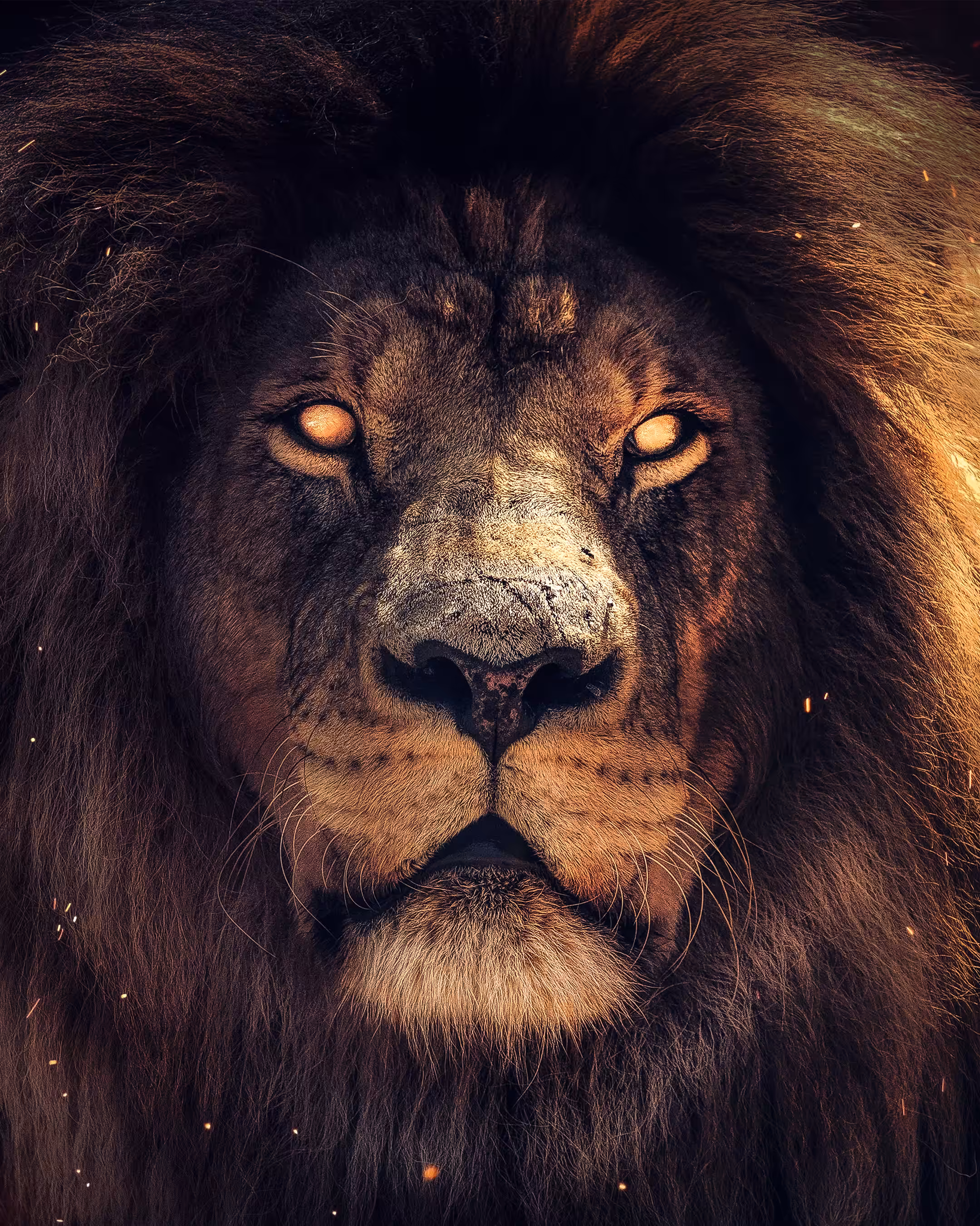 The Possessed King