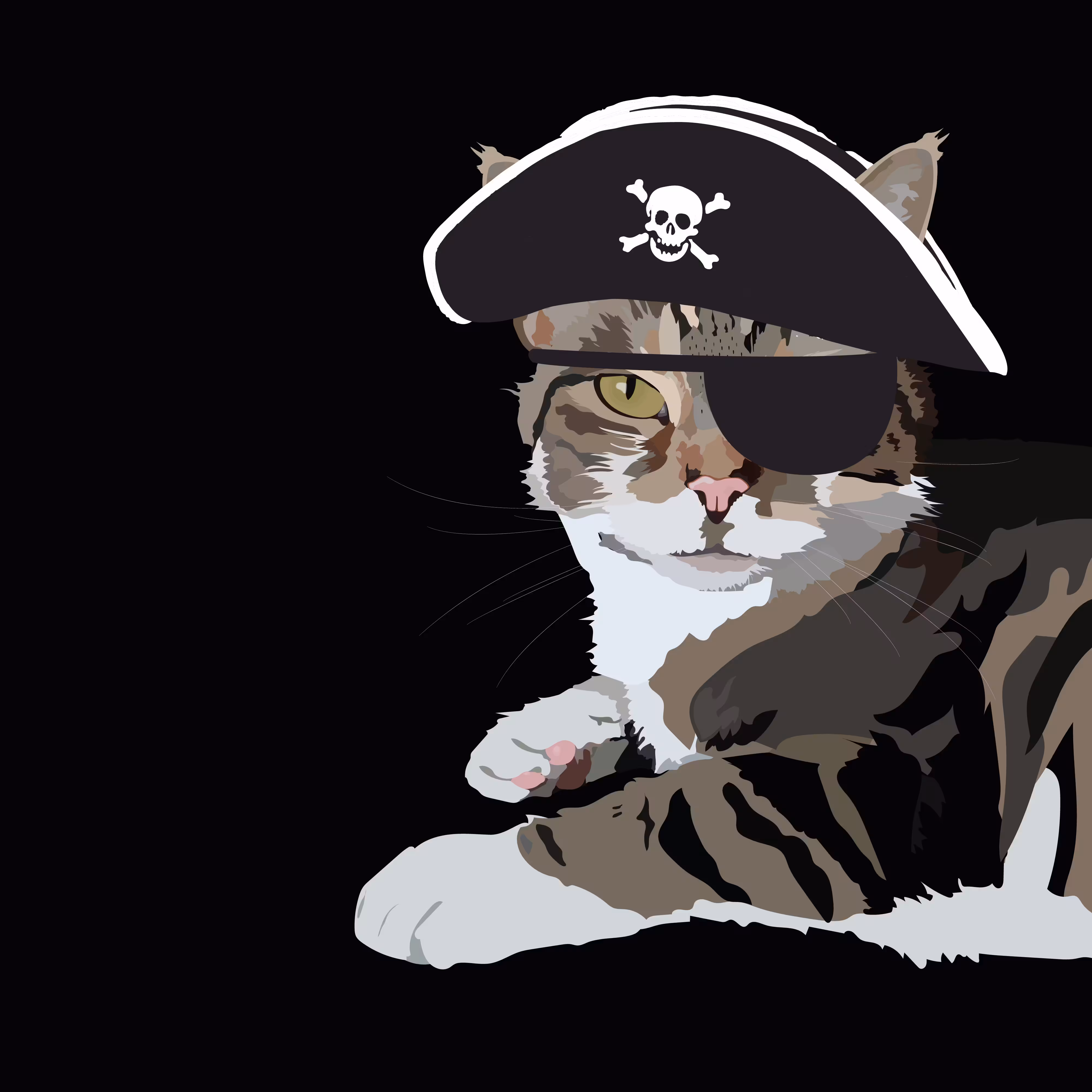 Pirate ARGH PhotogenicCat 002