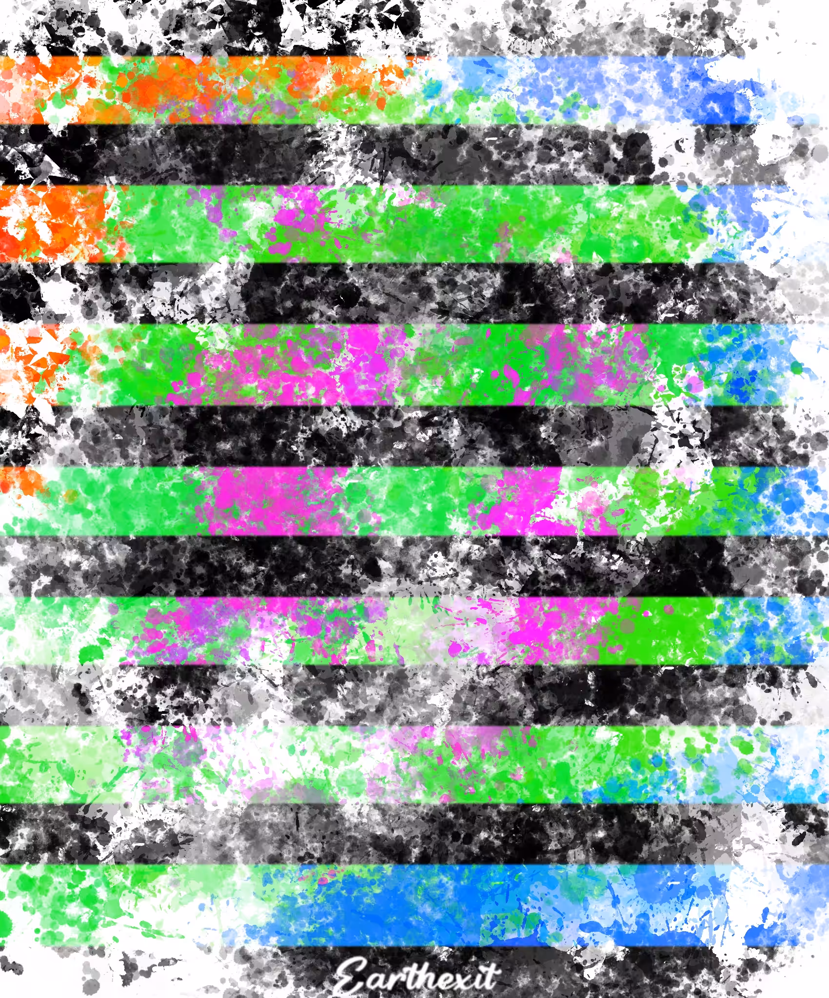 The Flag 