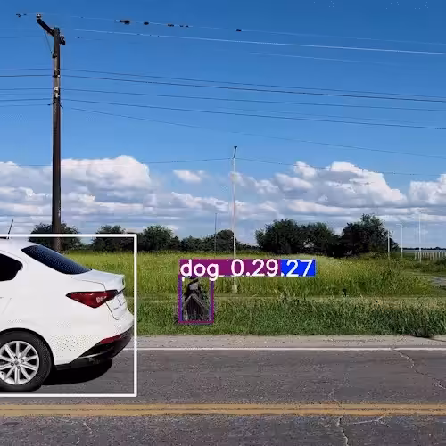 Devoción-fuera-de-rango03.mp4