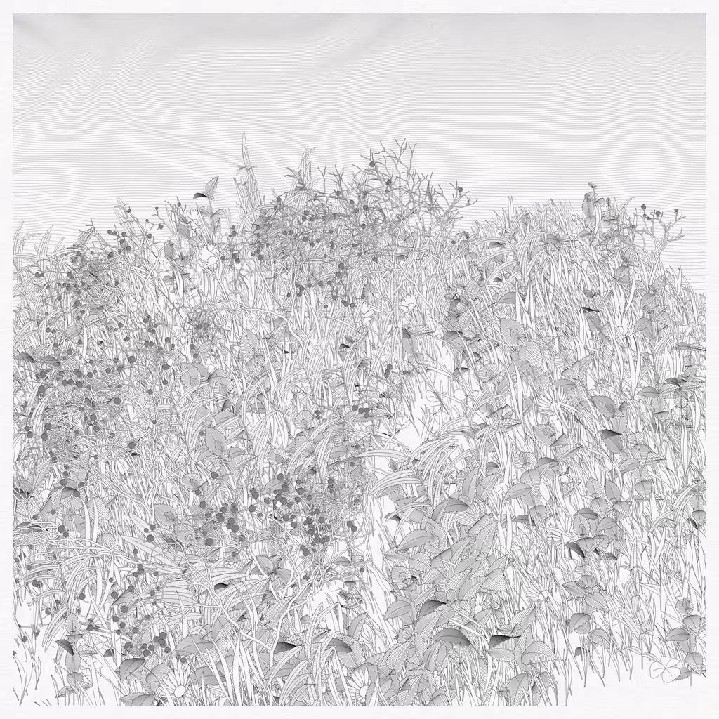 Garden, Monoliths #155
