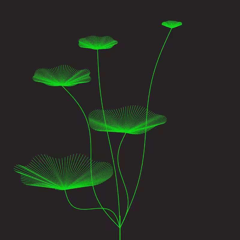 Flora #16