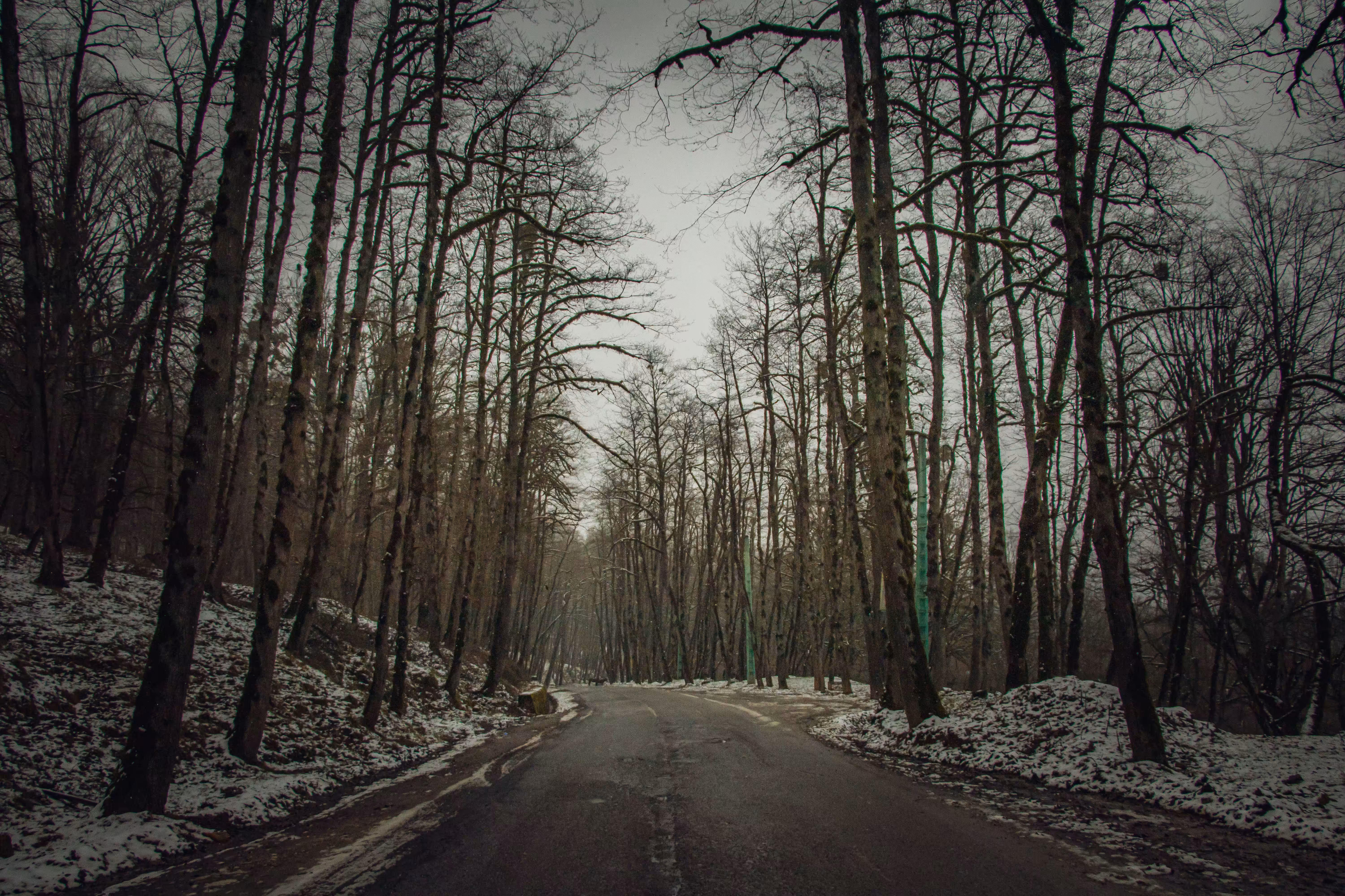 1. "spring path"