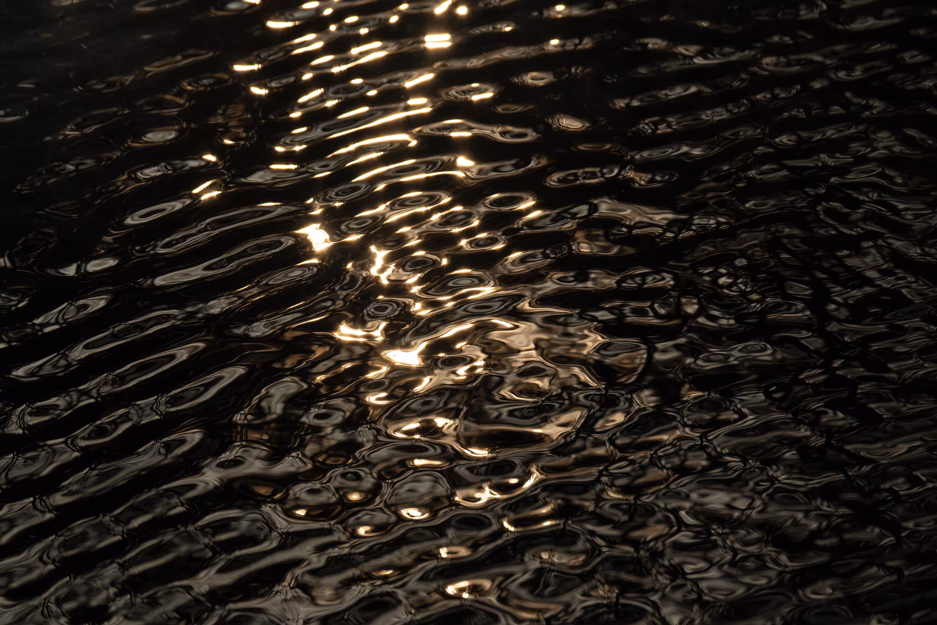 Ebb and Flow #66