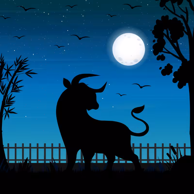 We Care...Bull #8