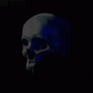 404SKULLS - 033