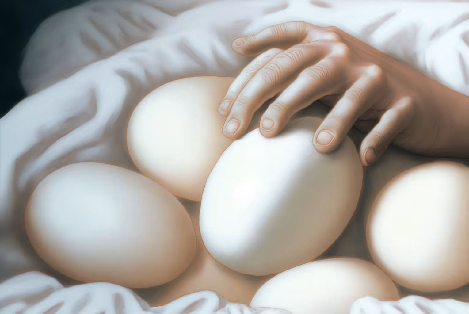 e g g 31