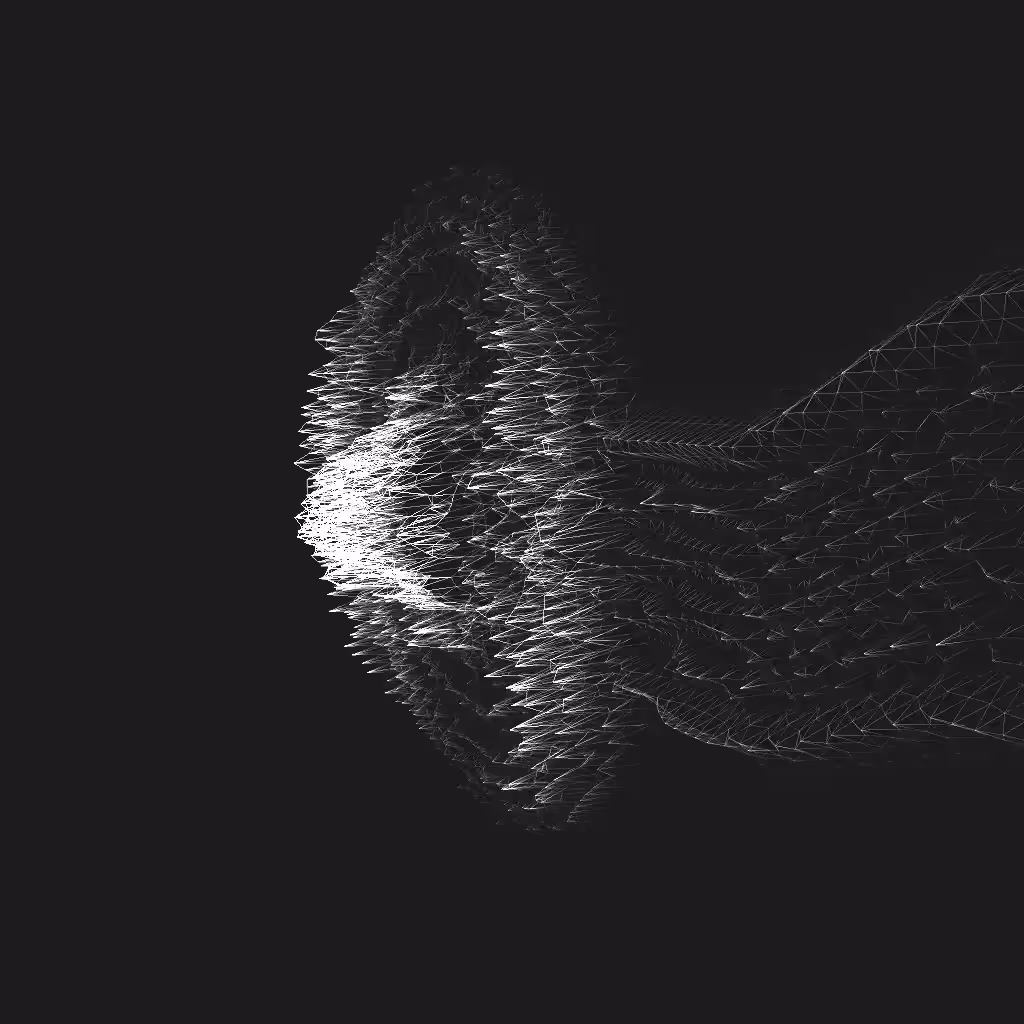 Xray wireframe-Q