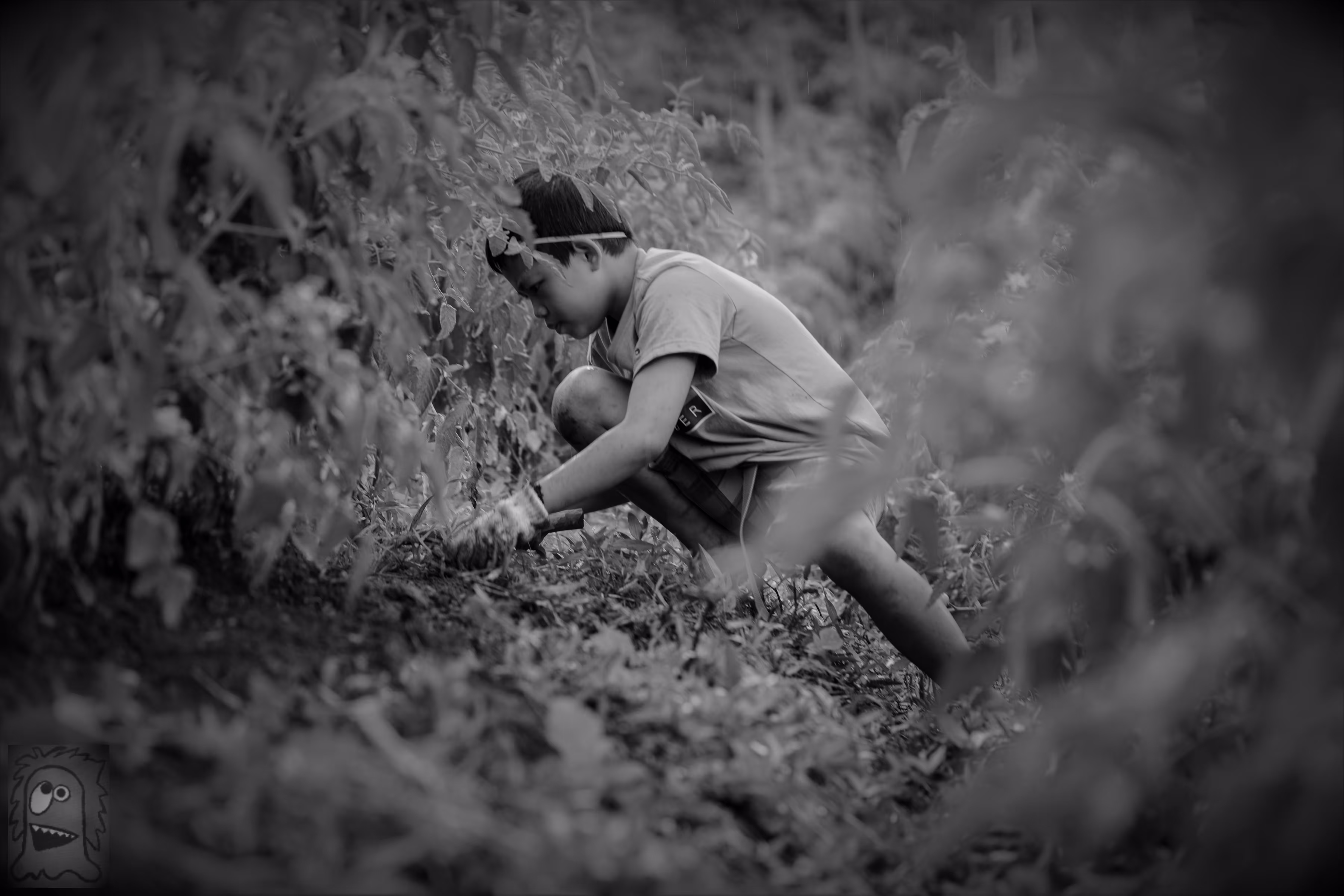 "The Fields of Grey Visual 7" The making of tomorrow II