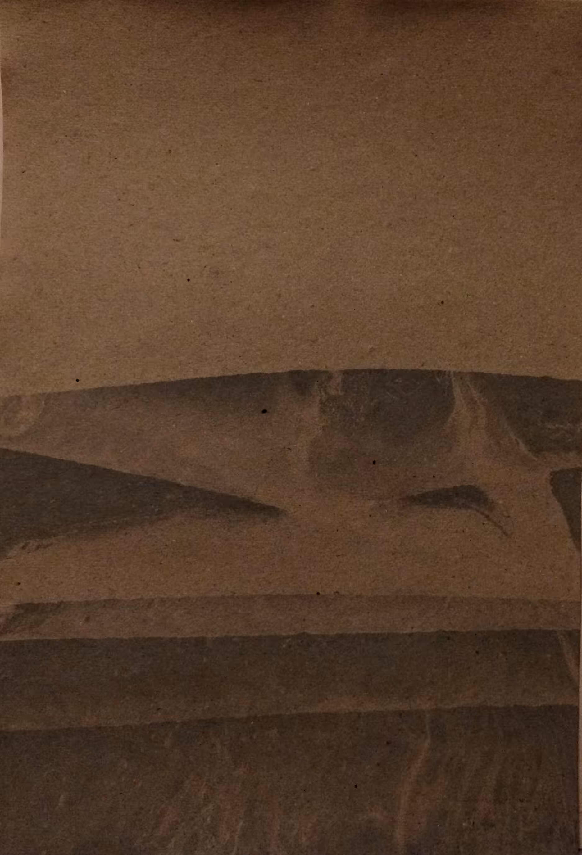 DESERT 1