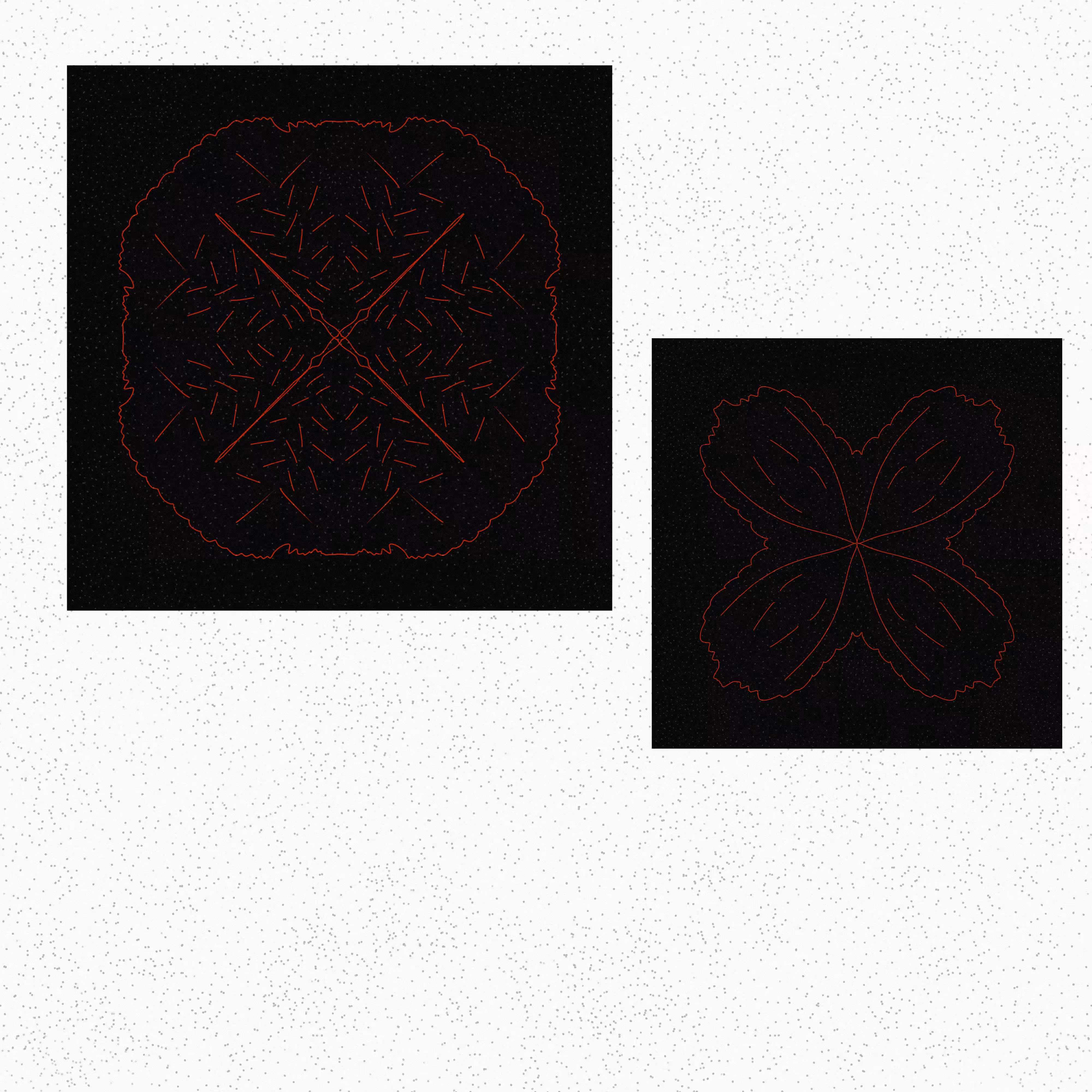 Botanical Dimensions: Lost Knowledge