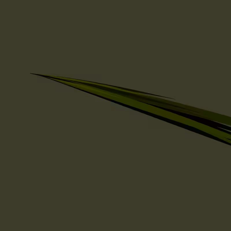 elegant_swimming #4