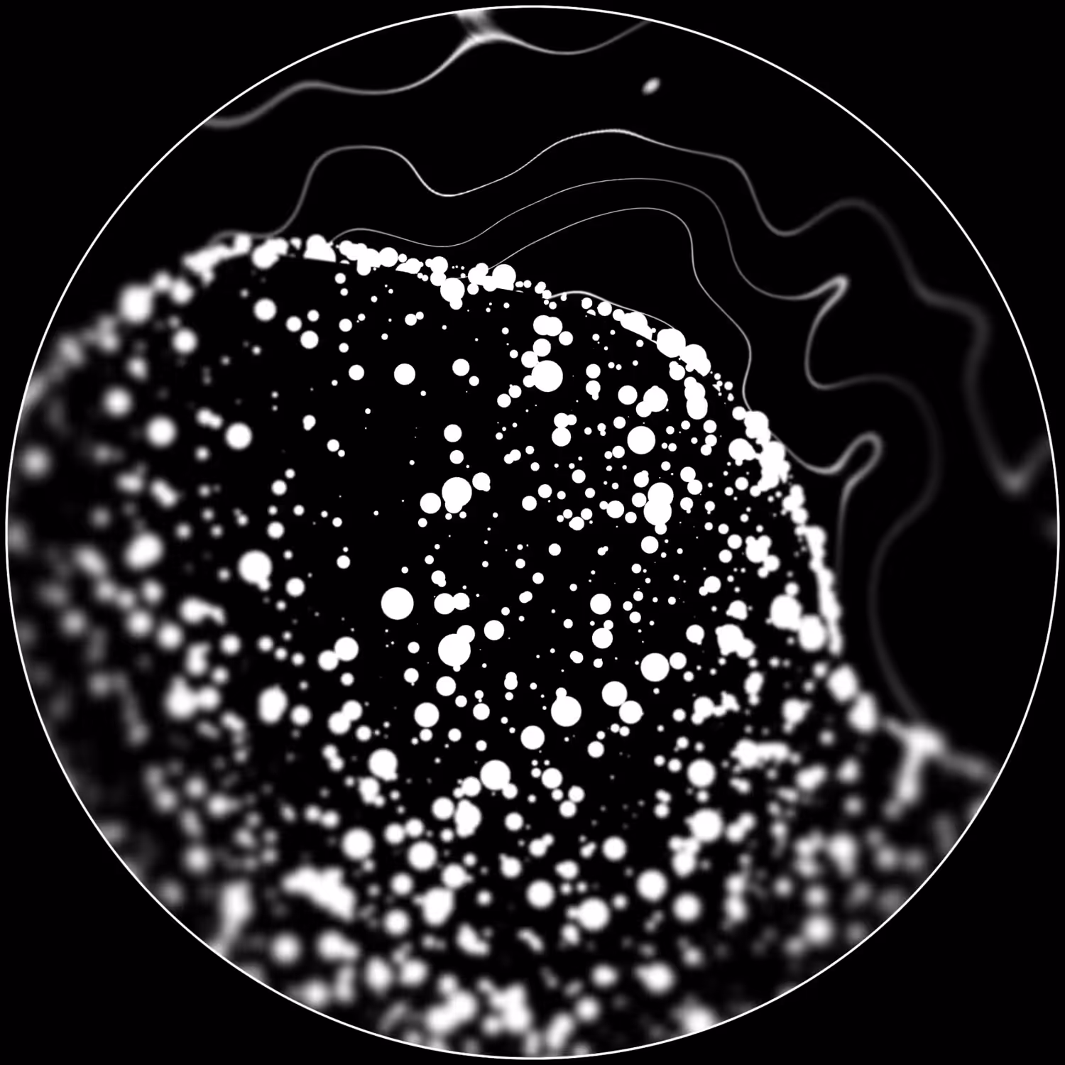 Space Wave 23