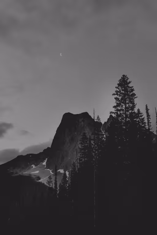 Midnight Dreams