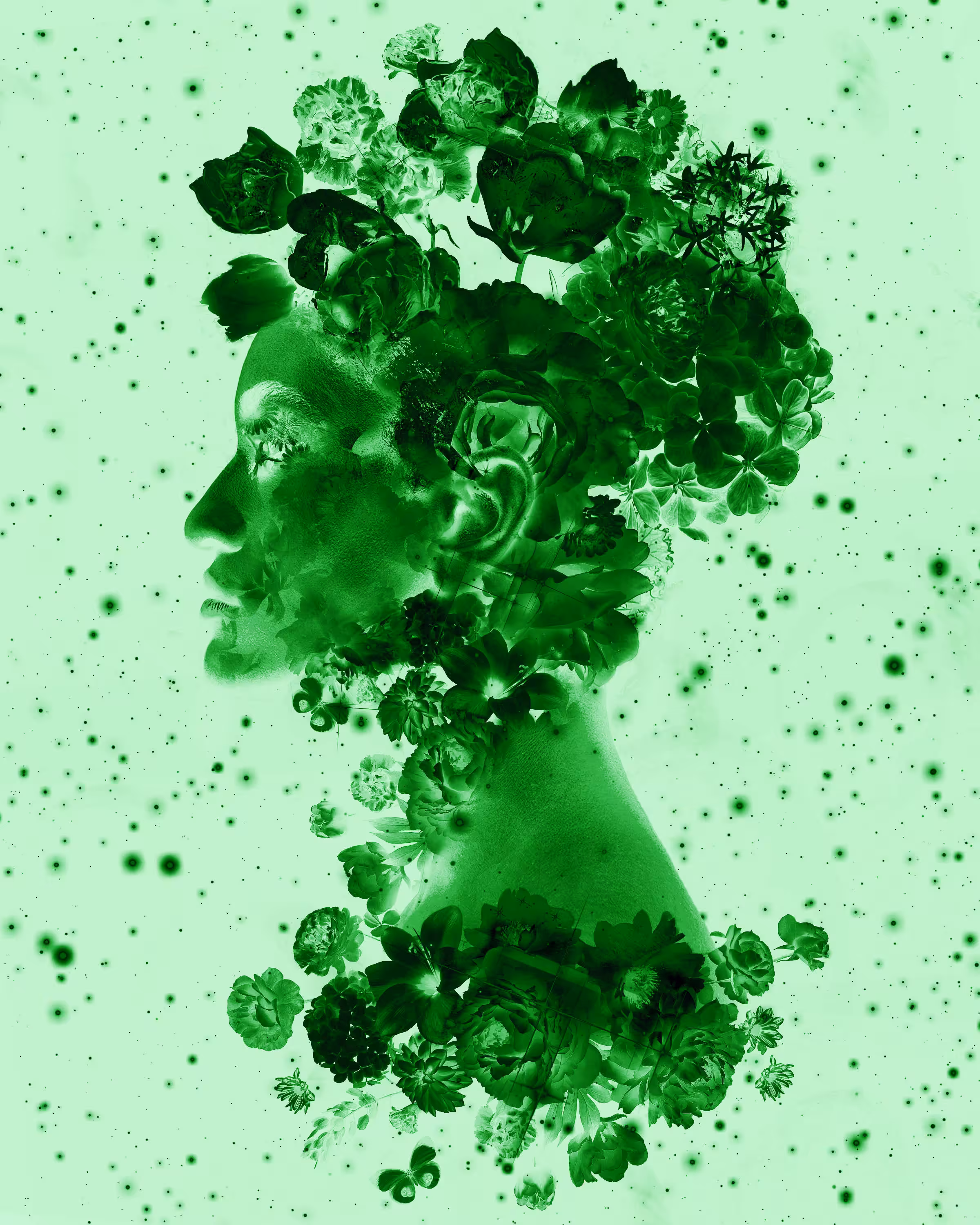 Lavender Dream: Green