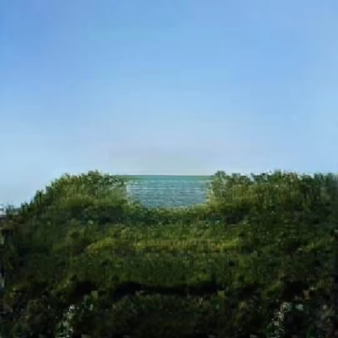 ^ML__crystaline_pool