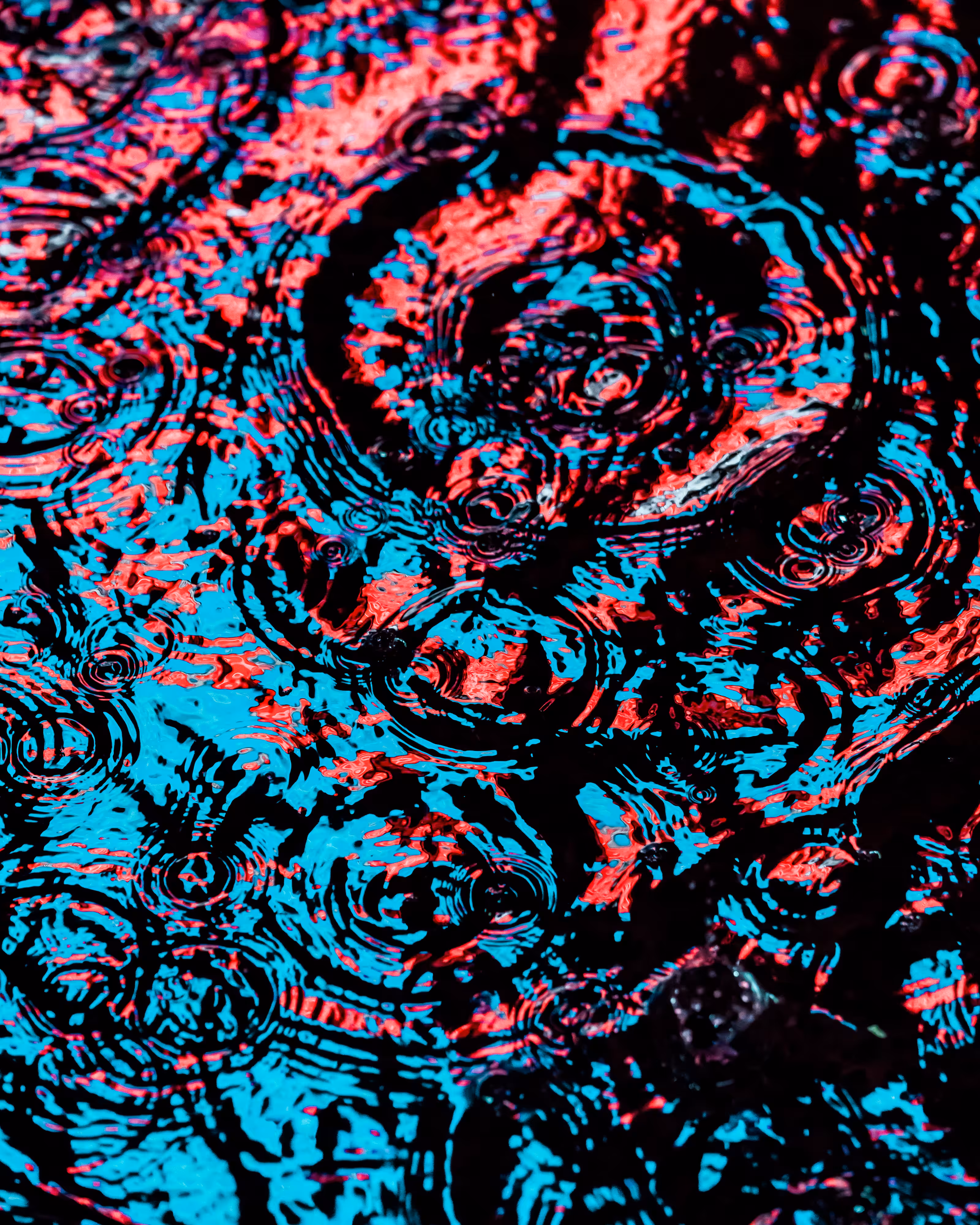 DRIP DROP: DRIP #53