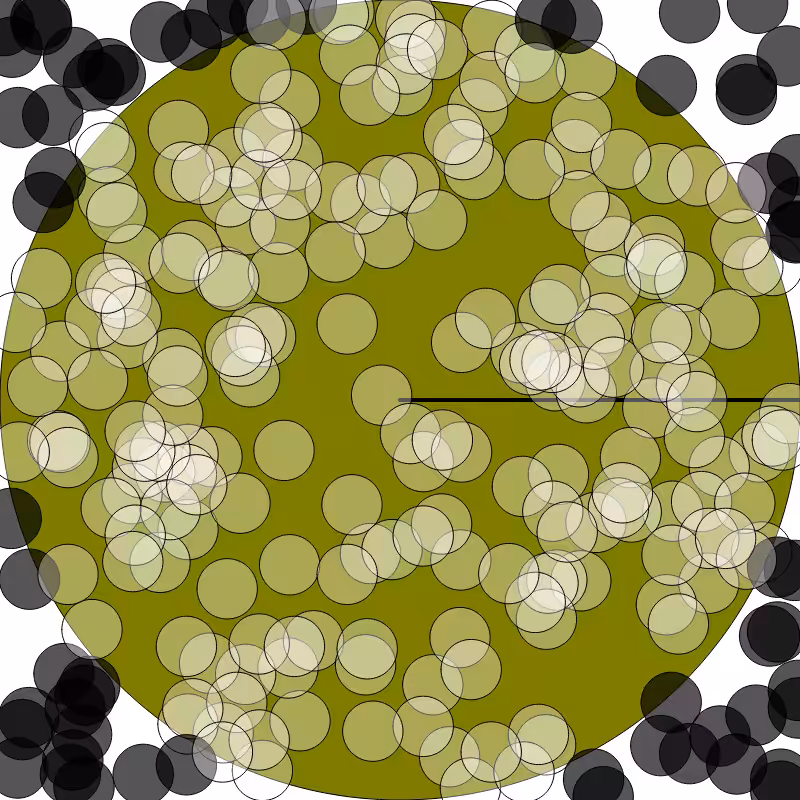 (π) #17
