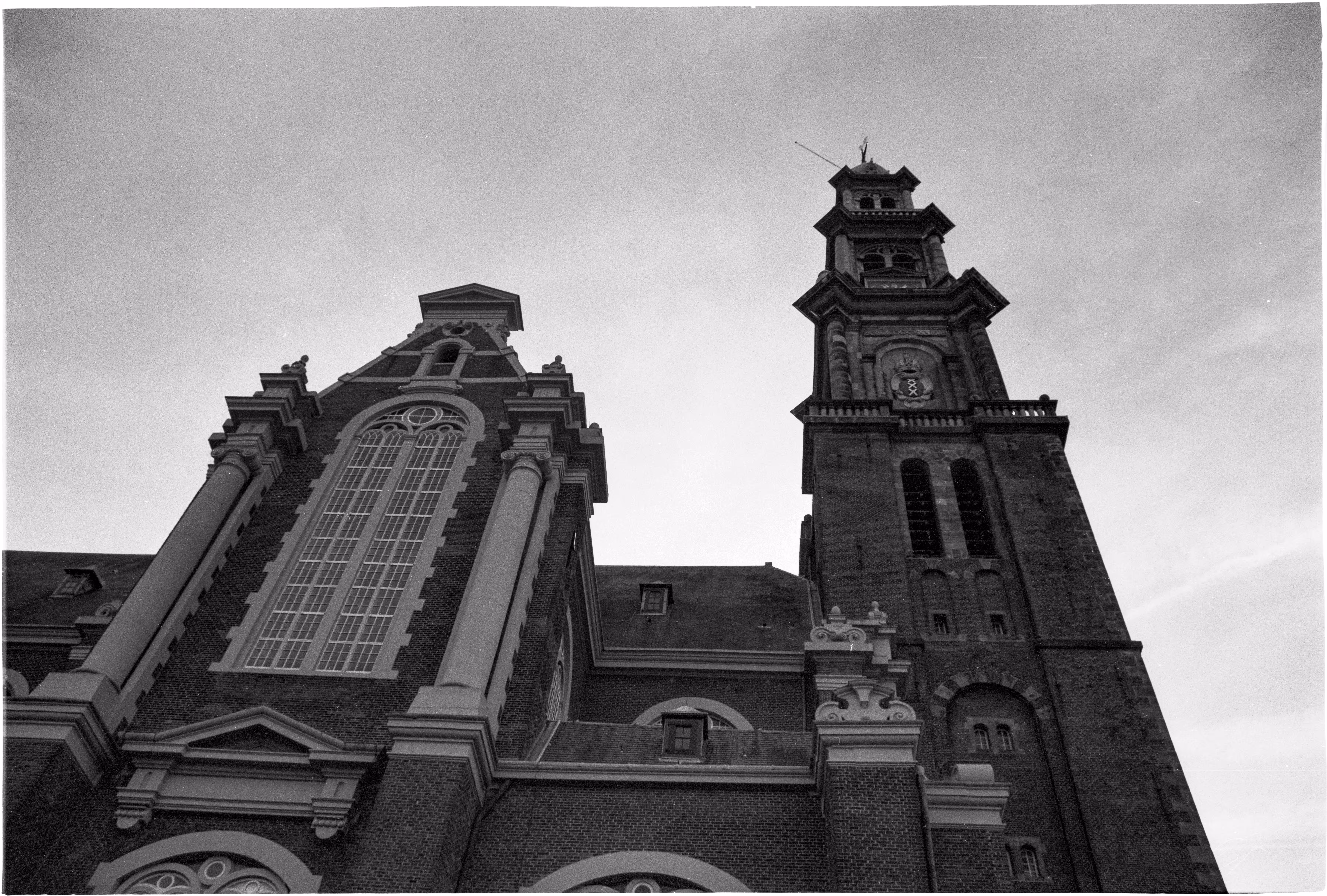 The View From Below