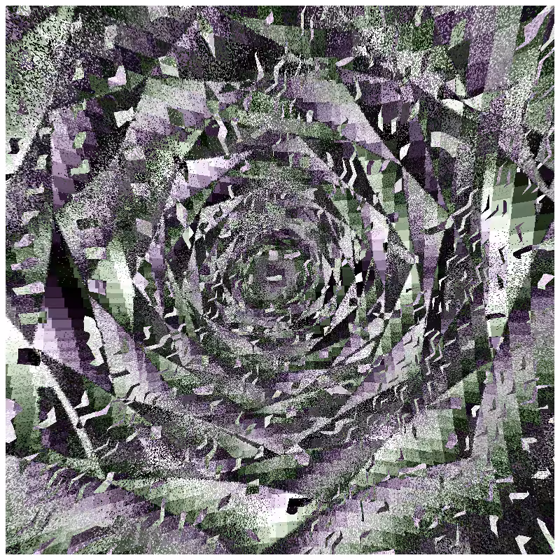 rosette #7