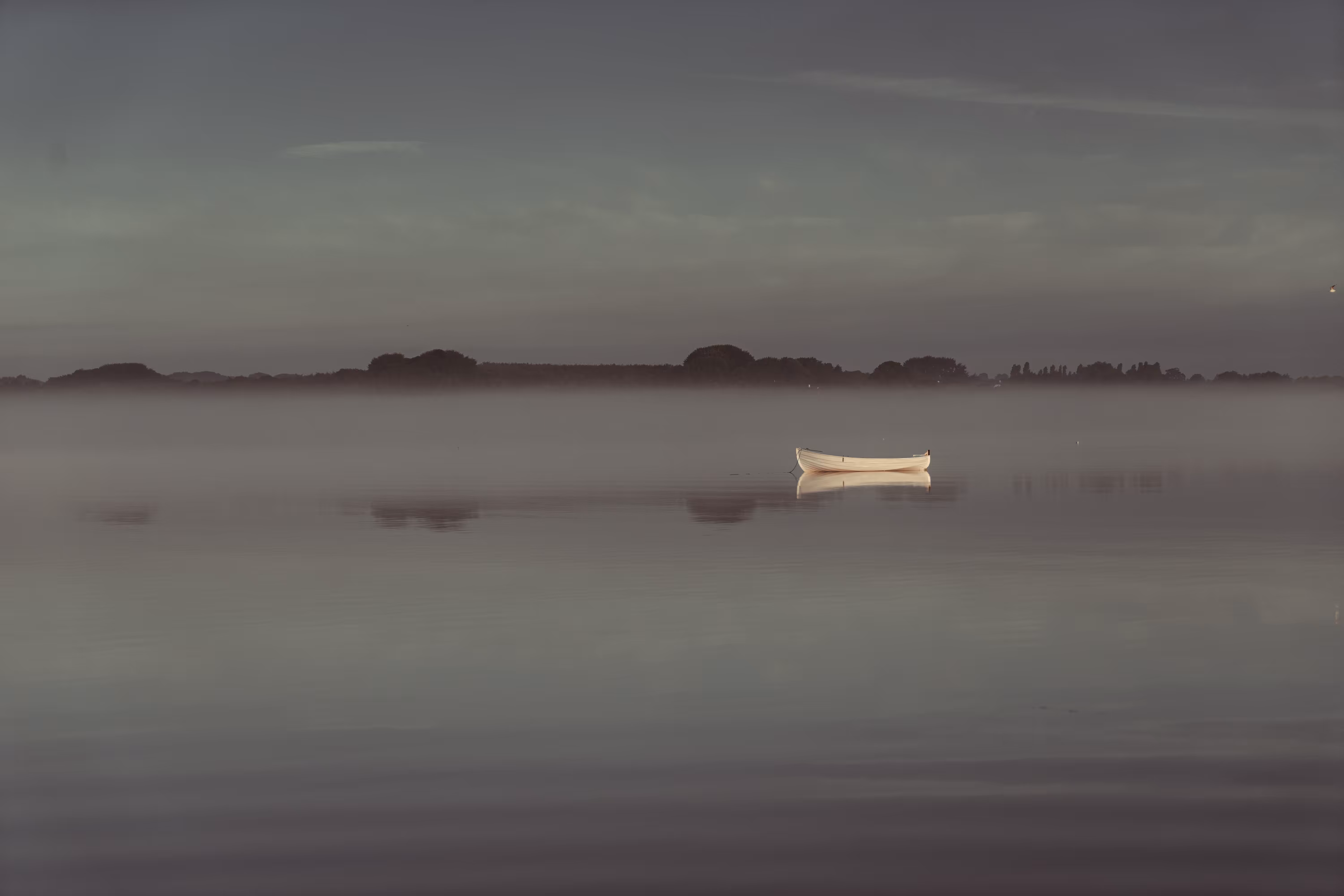 the crossing