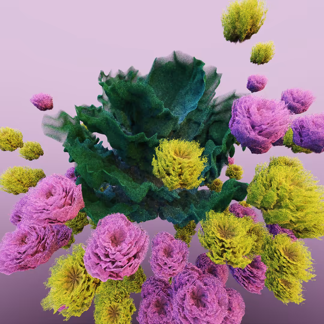 rosarium #72