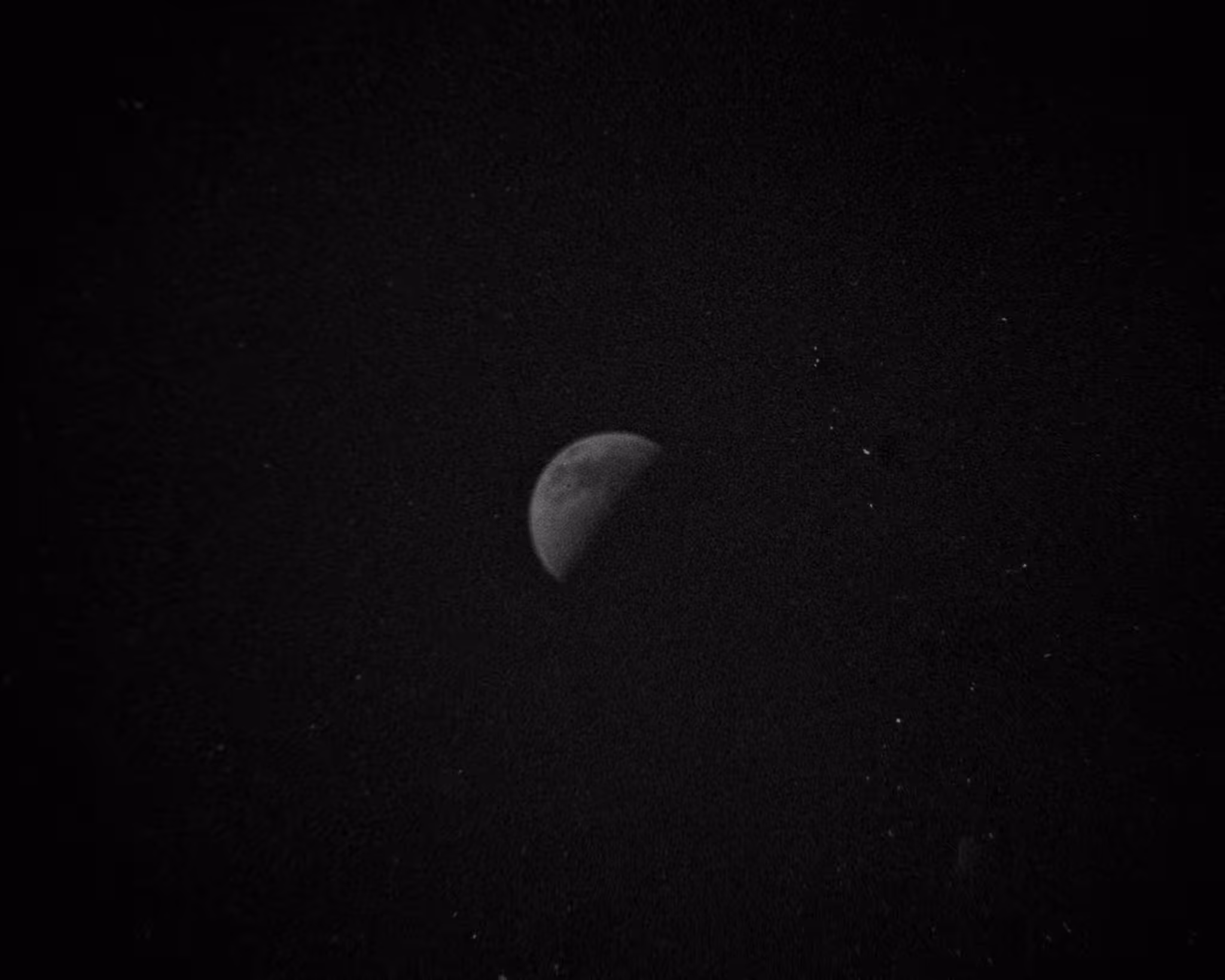 quarantined moon