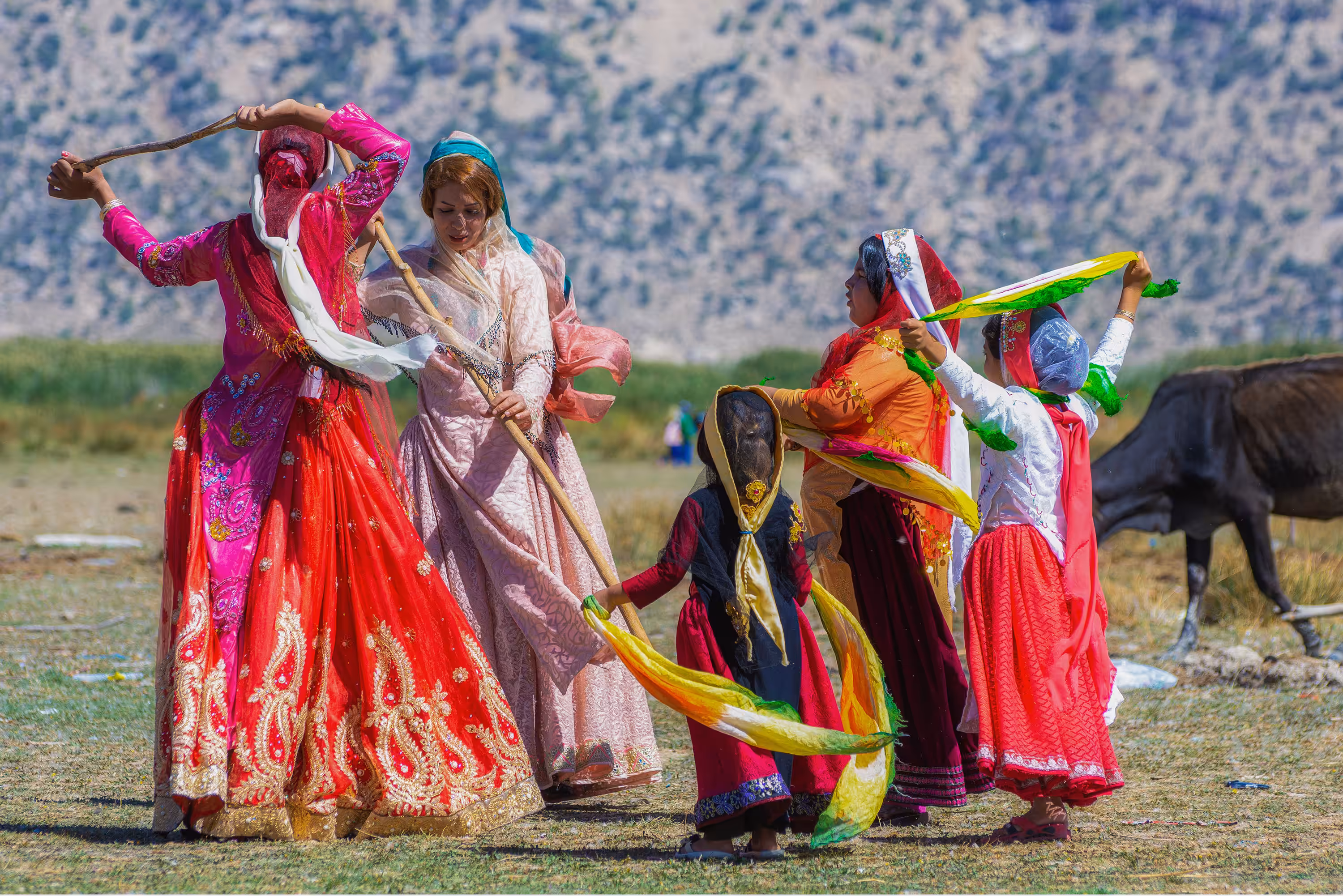 Traditional Qashqai wedding
