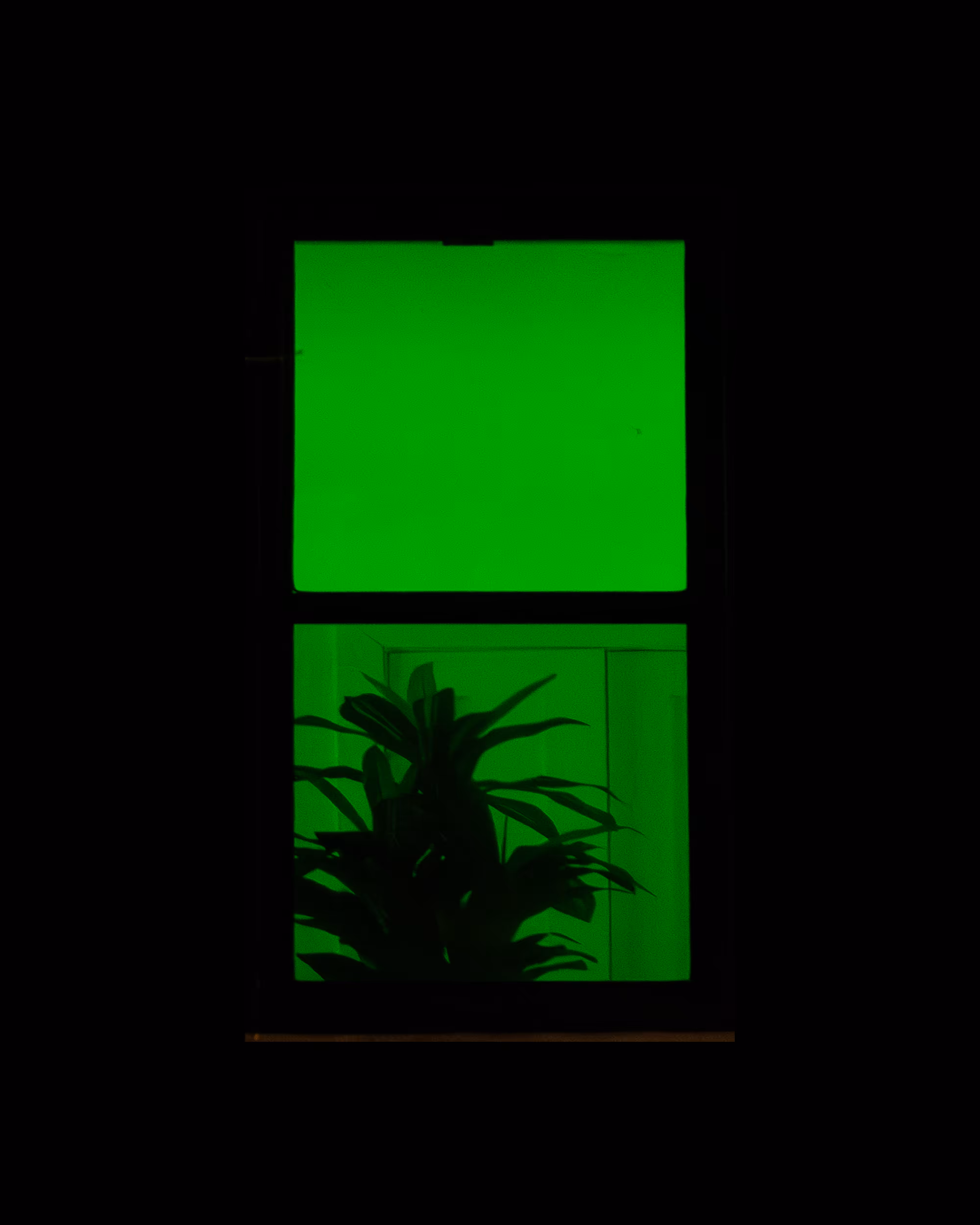 WINDOW 38