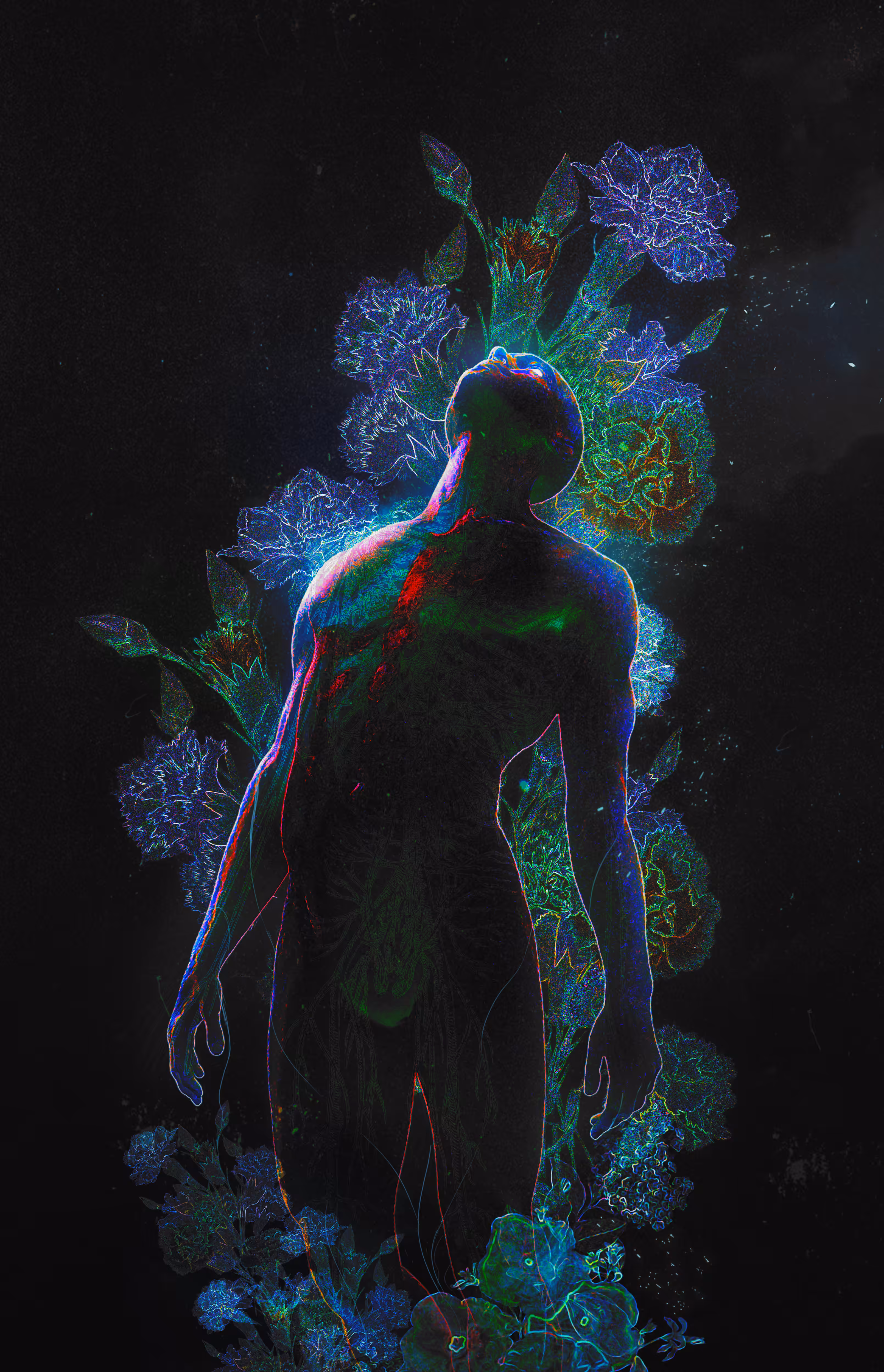 Bloom