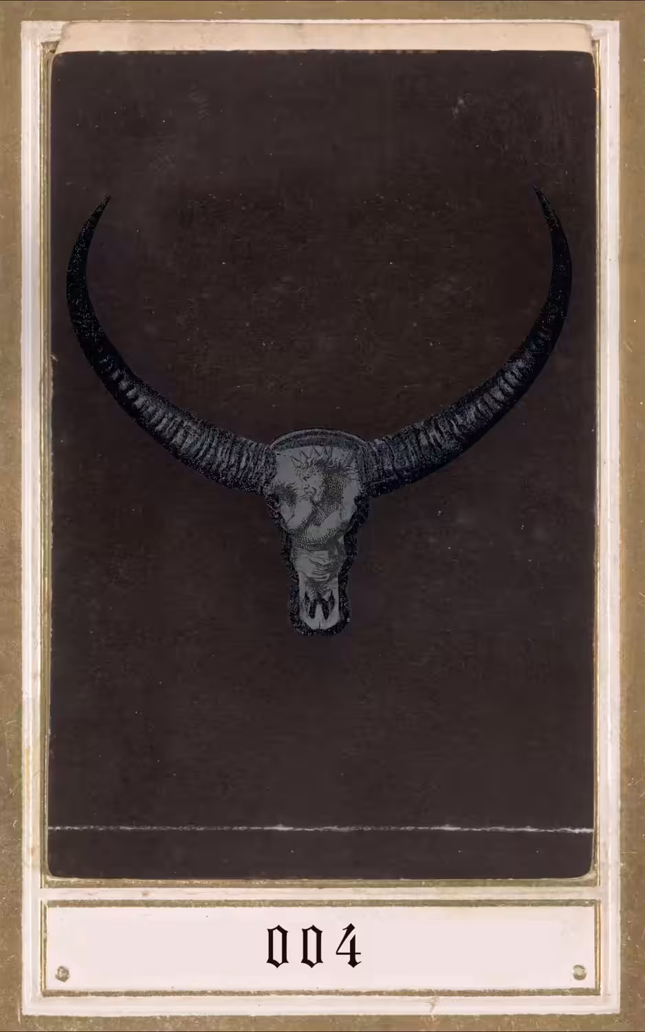 Bull Run - 004