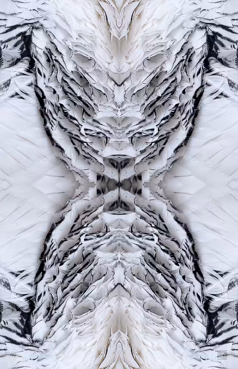 Reincarnation