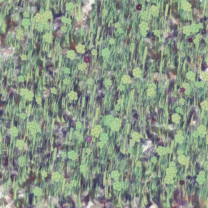 Petri 1500 #346