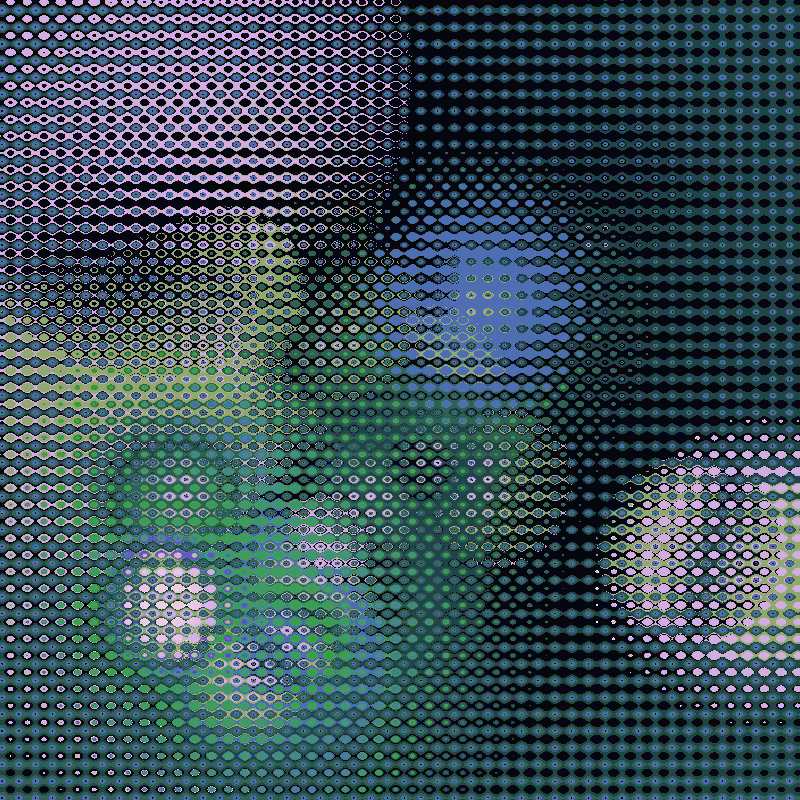Focus #29