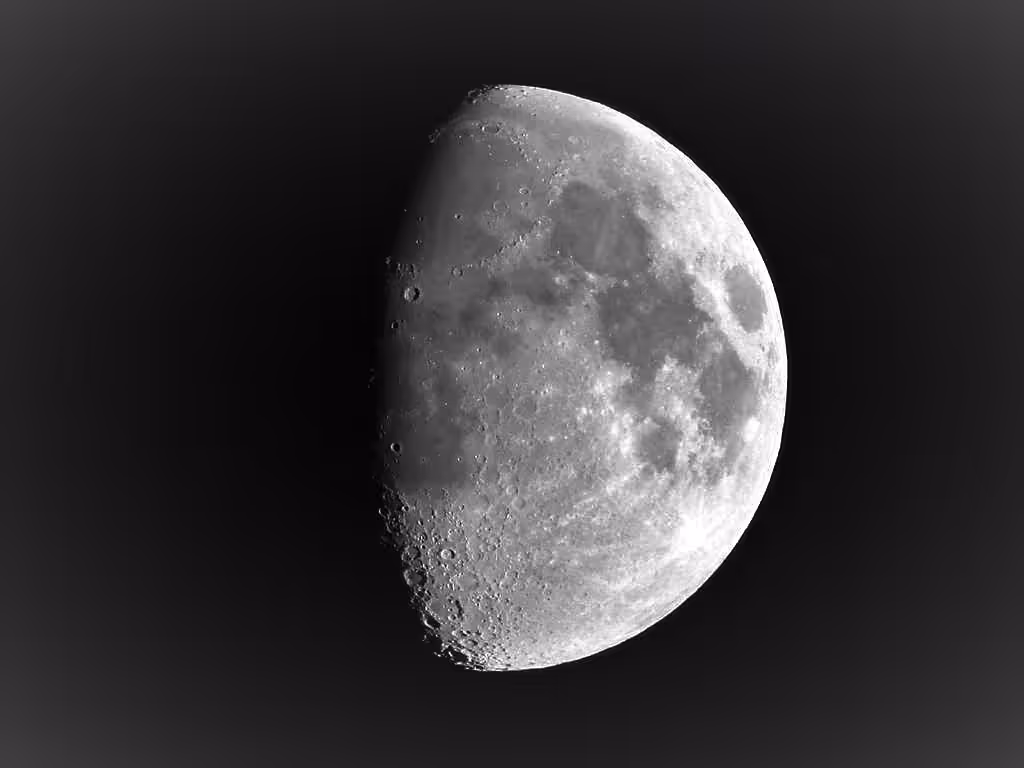 Lonely Lunar surface