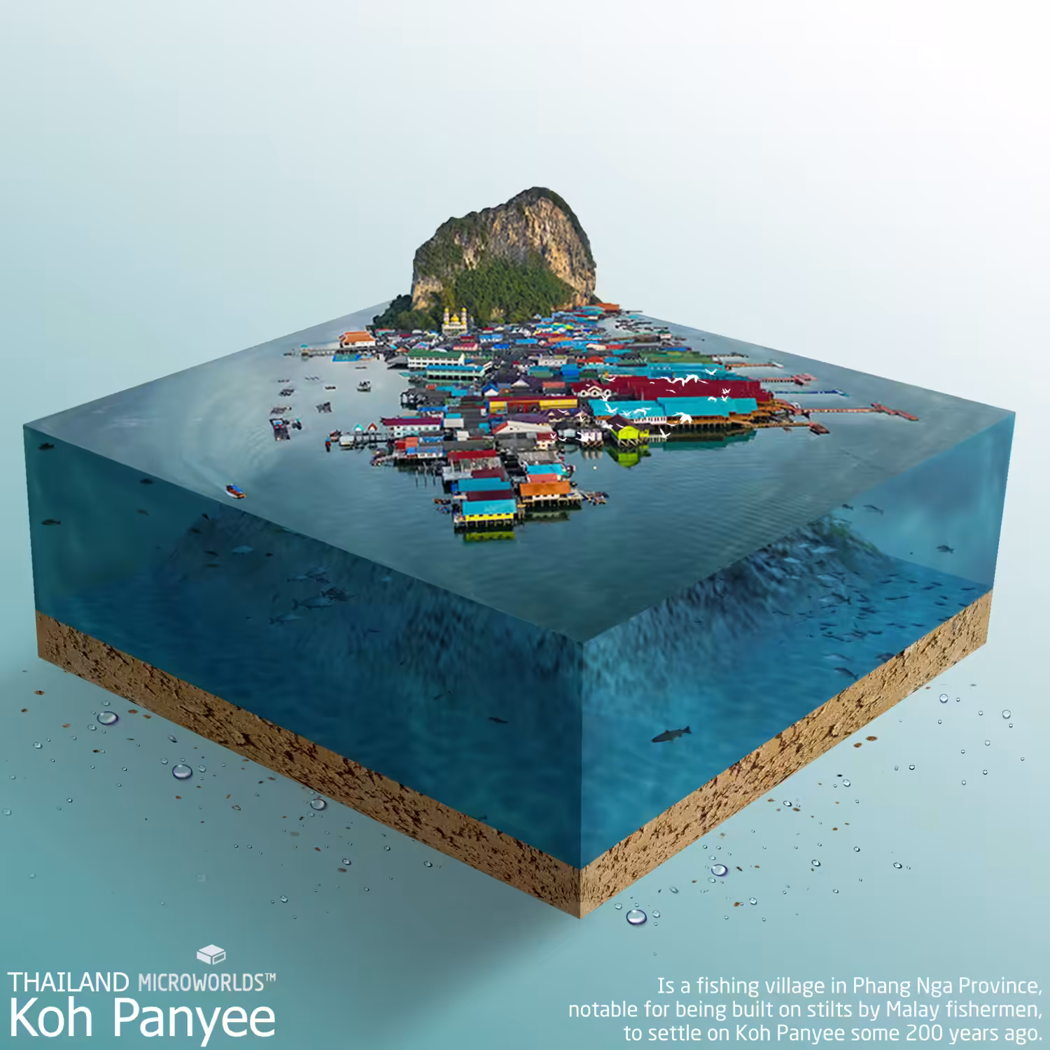 Microworld Koh Panyee