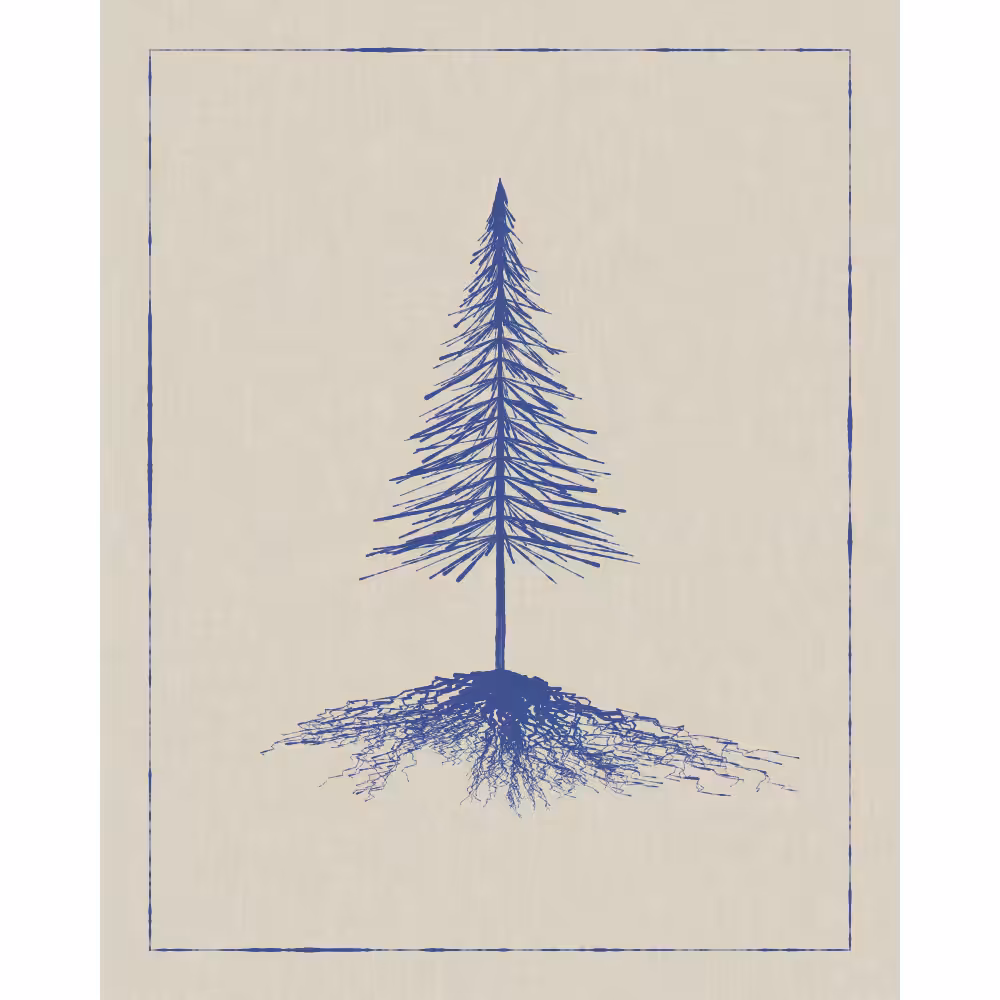 Roots #6