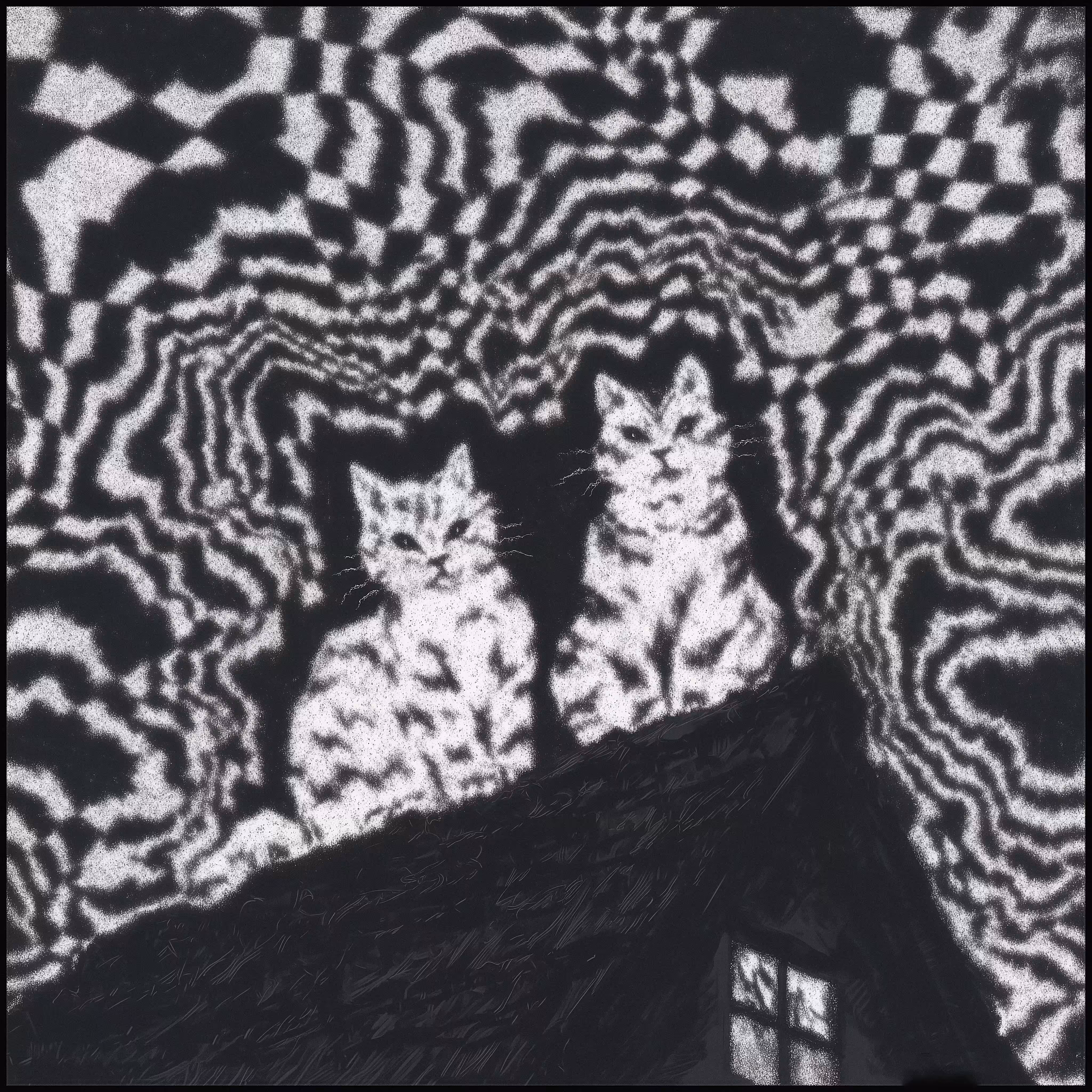 The Cats Who Dreamed The Light