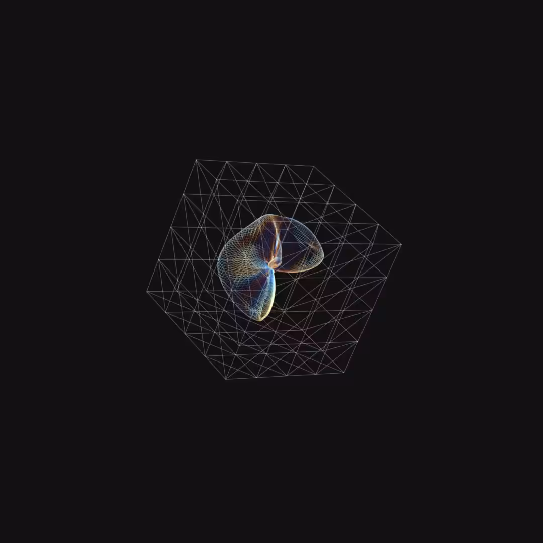 MINIMAL\PARTICULAR