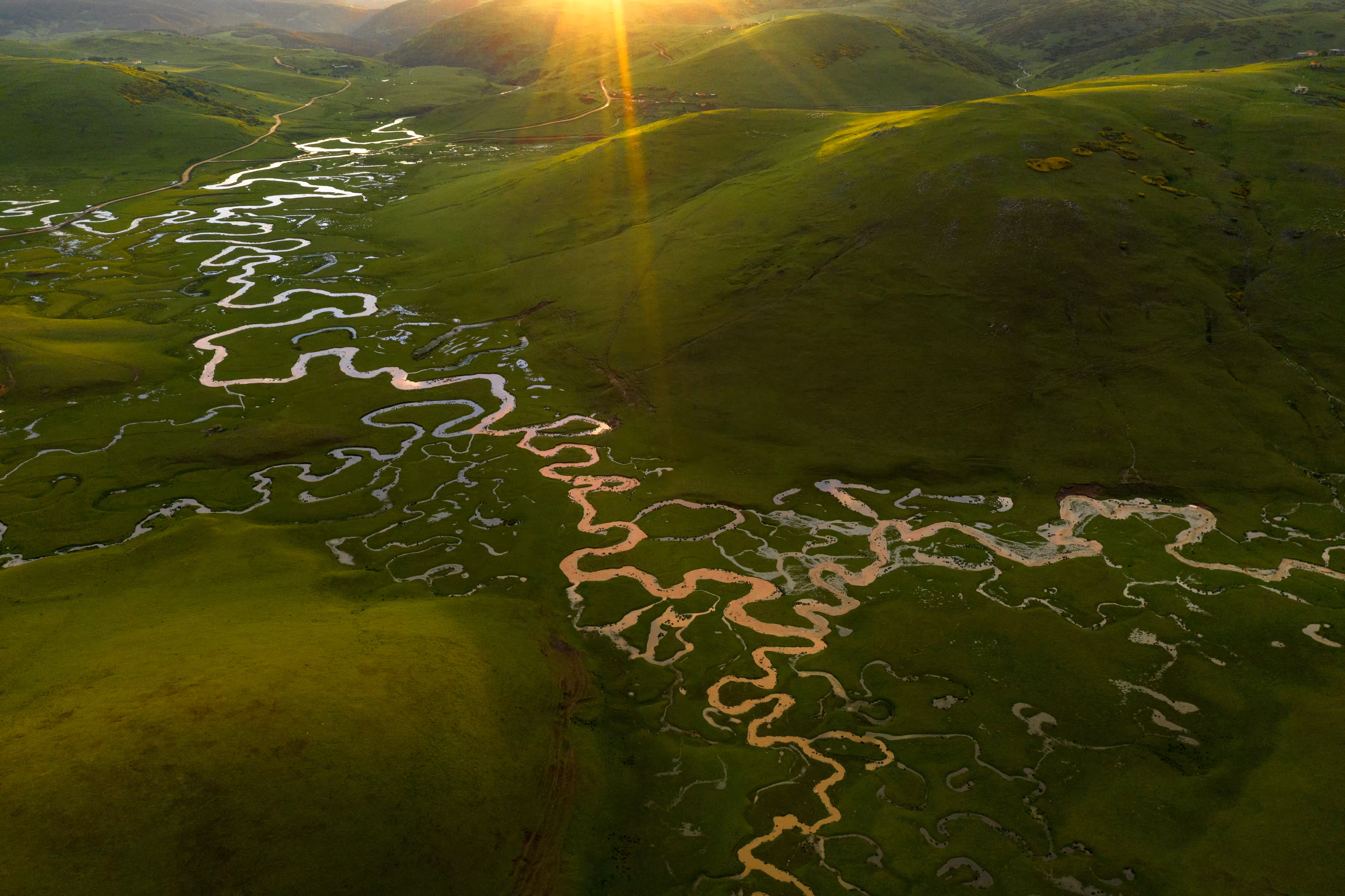 Paradise of Meanders