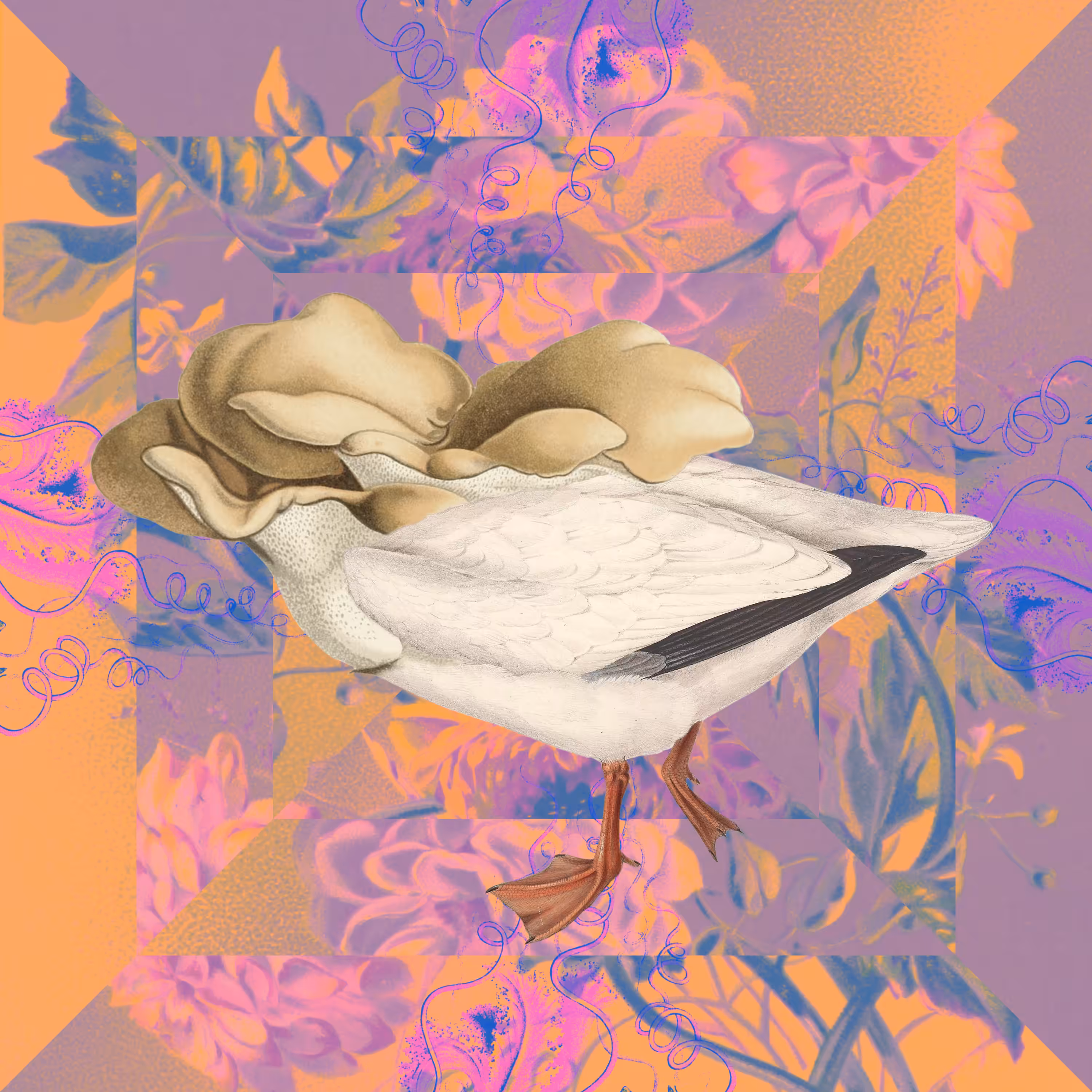 adalah flora fauna II