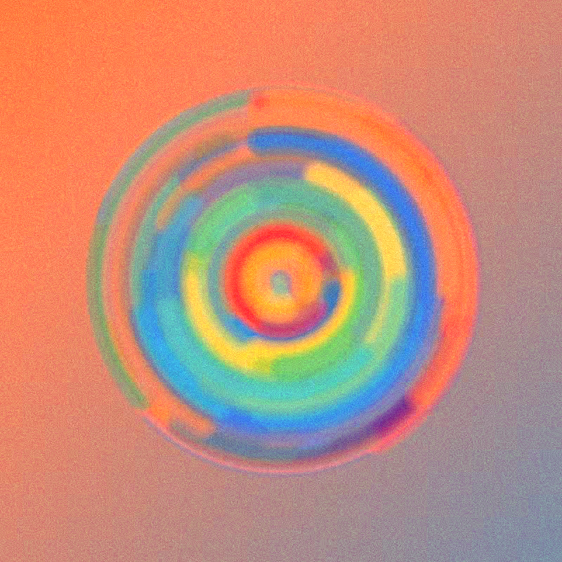 Wisp #984